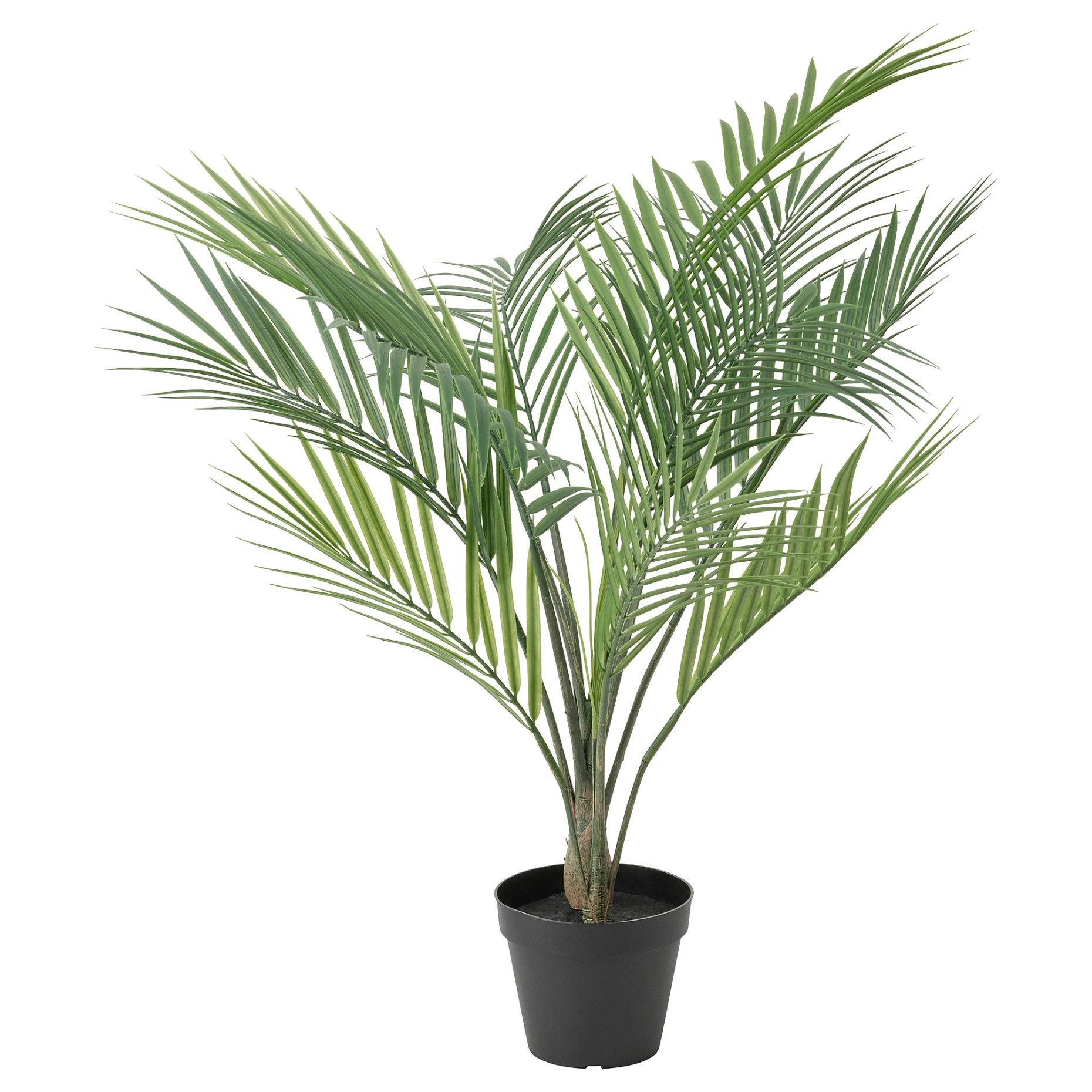 FEJKA, изк. саксийно растение, за употр. на закр./откр., палма Areca, 12 см, 006.152.25