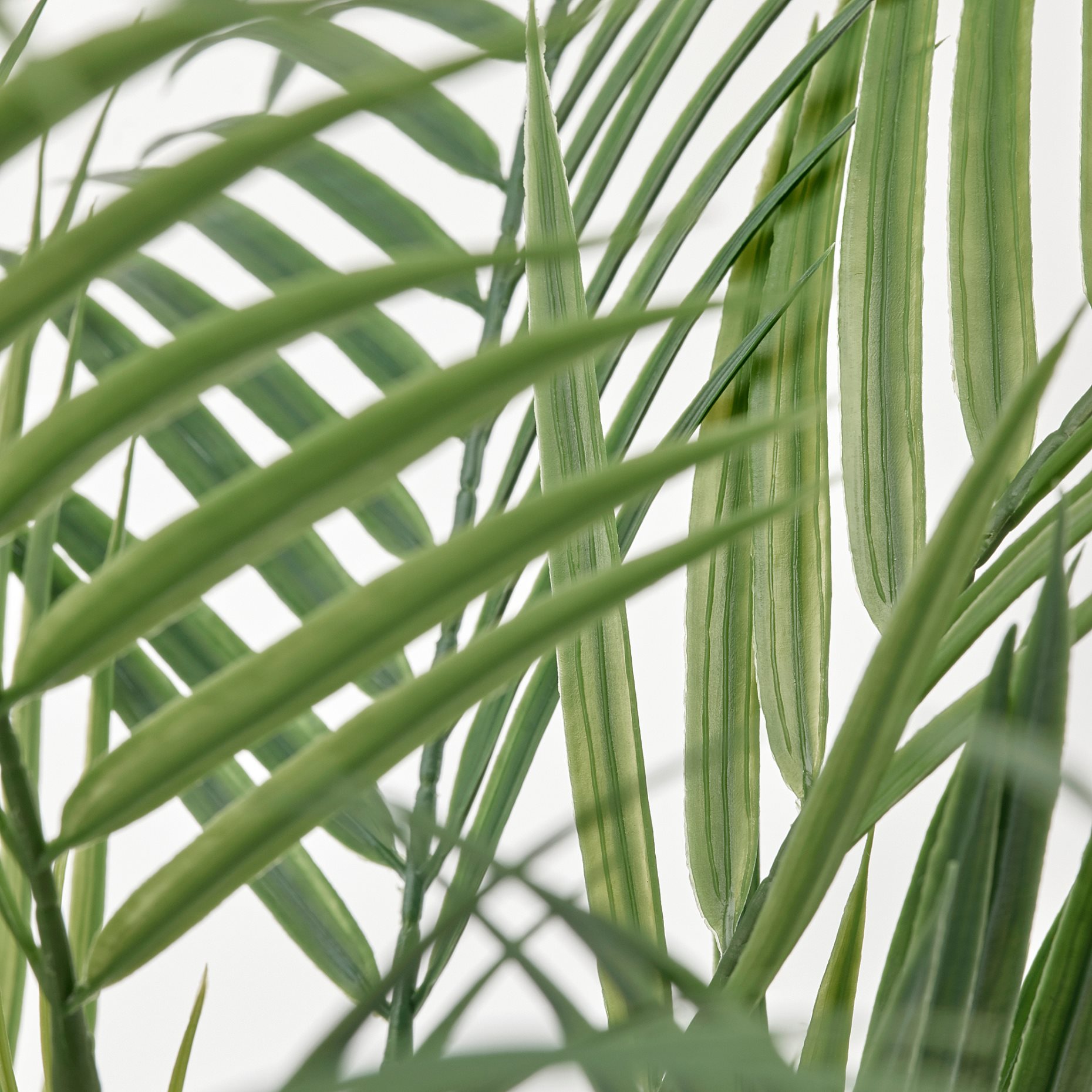 FEJKA, изк. саксийно растение, за употр. на закр./откр., палма Areca, 12 см, 006.152.25