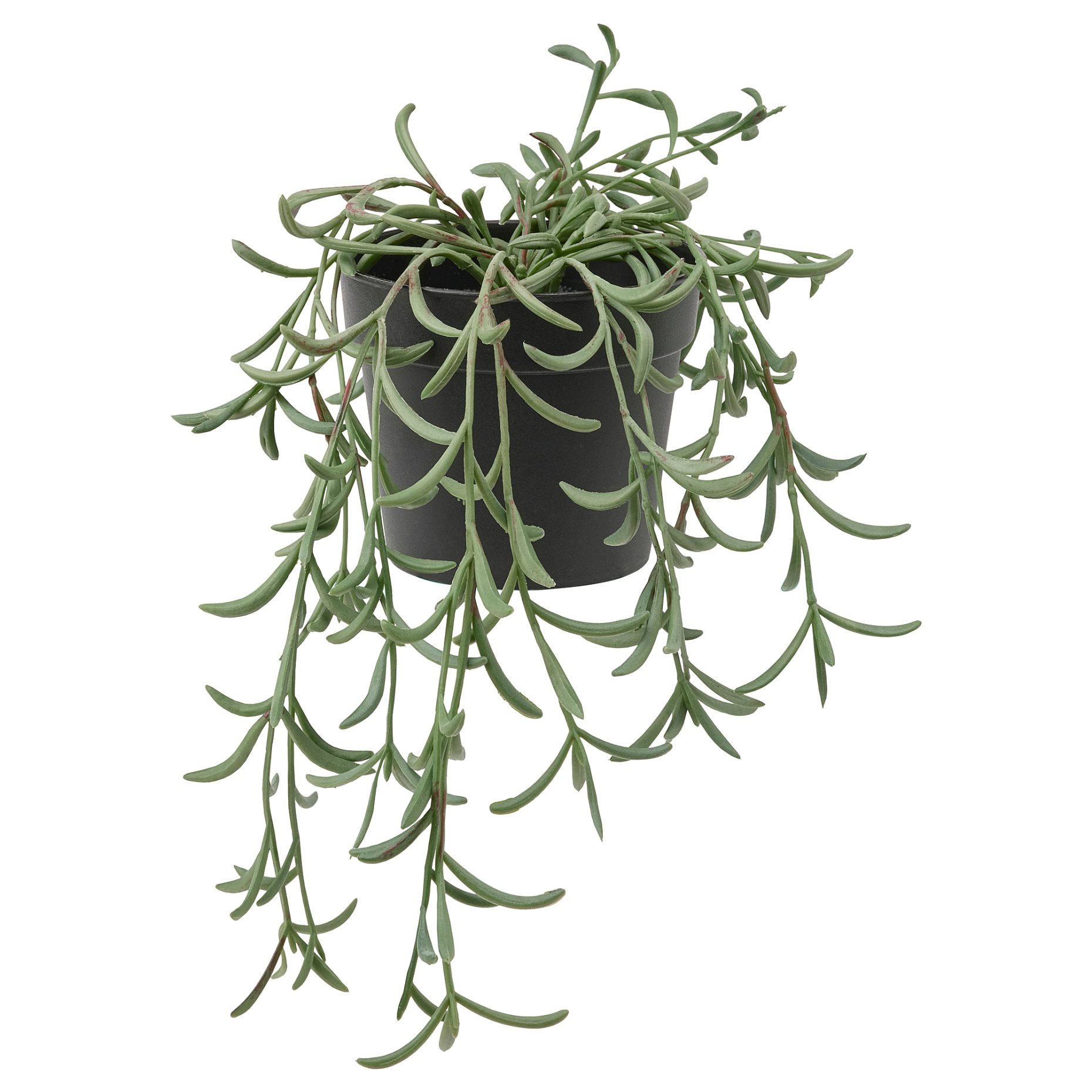 FEJKA, изкуствено саксийно растение, 9 см, 205.084.08