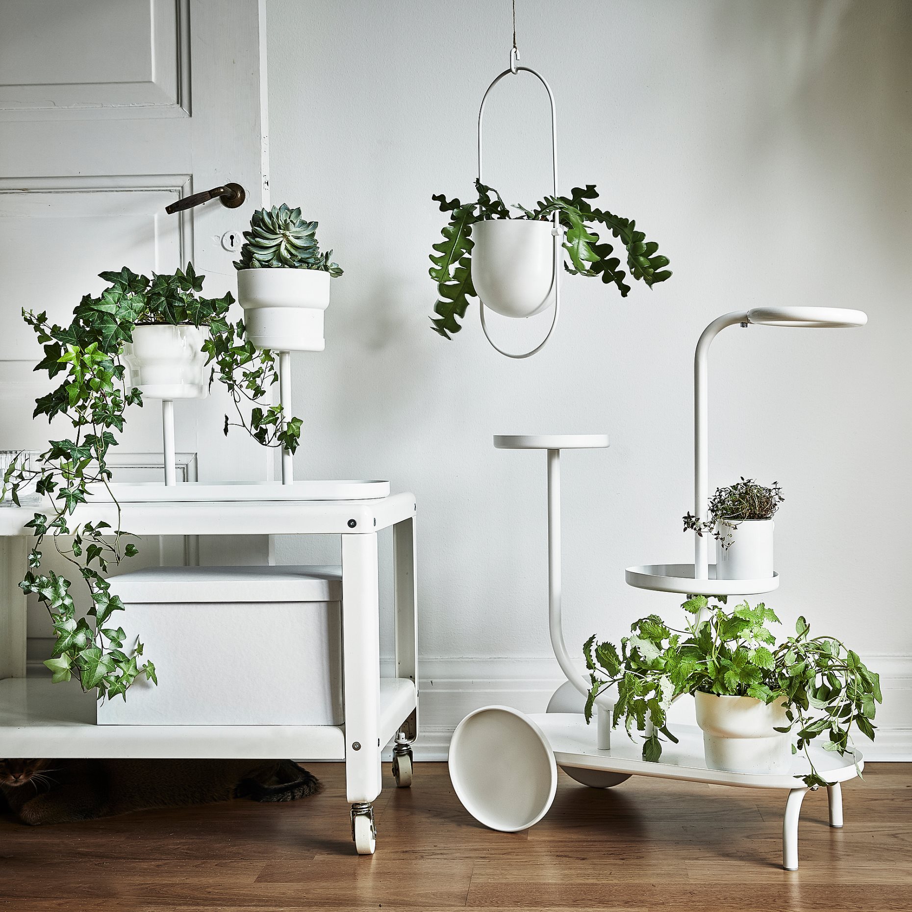 CHILISTRÅN, висяща кашпа, 12 см, 704.922.64