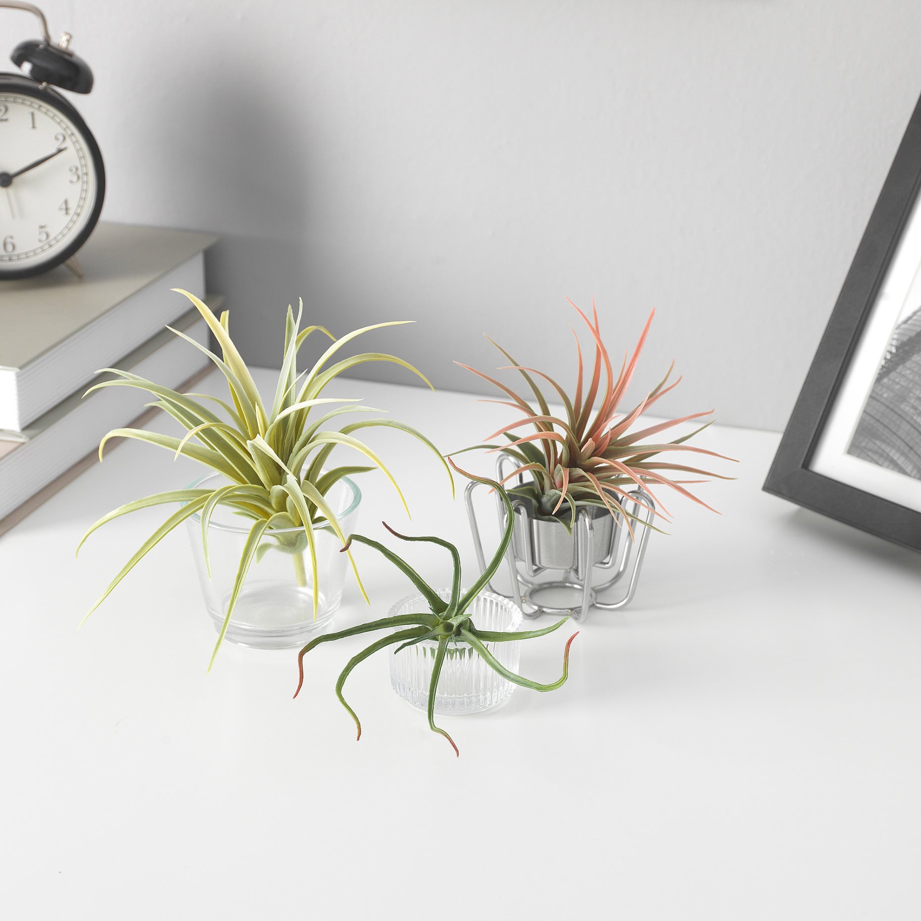 FEJKA, изкуствено растение, тиландсия, компл. 3 части, 805.599.61