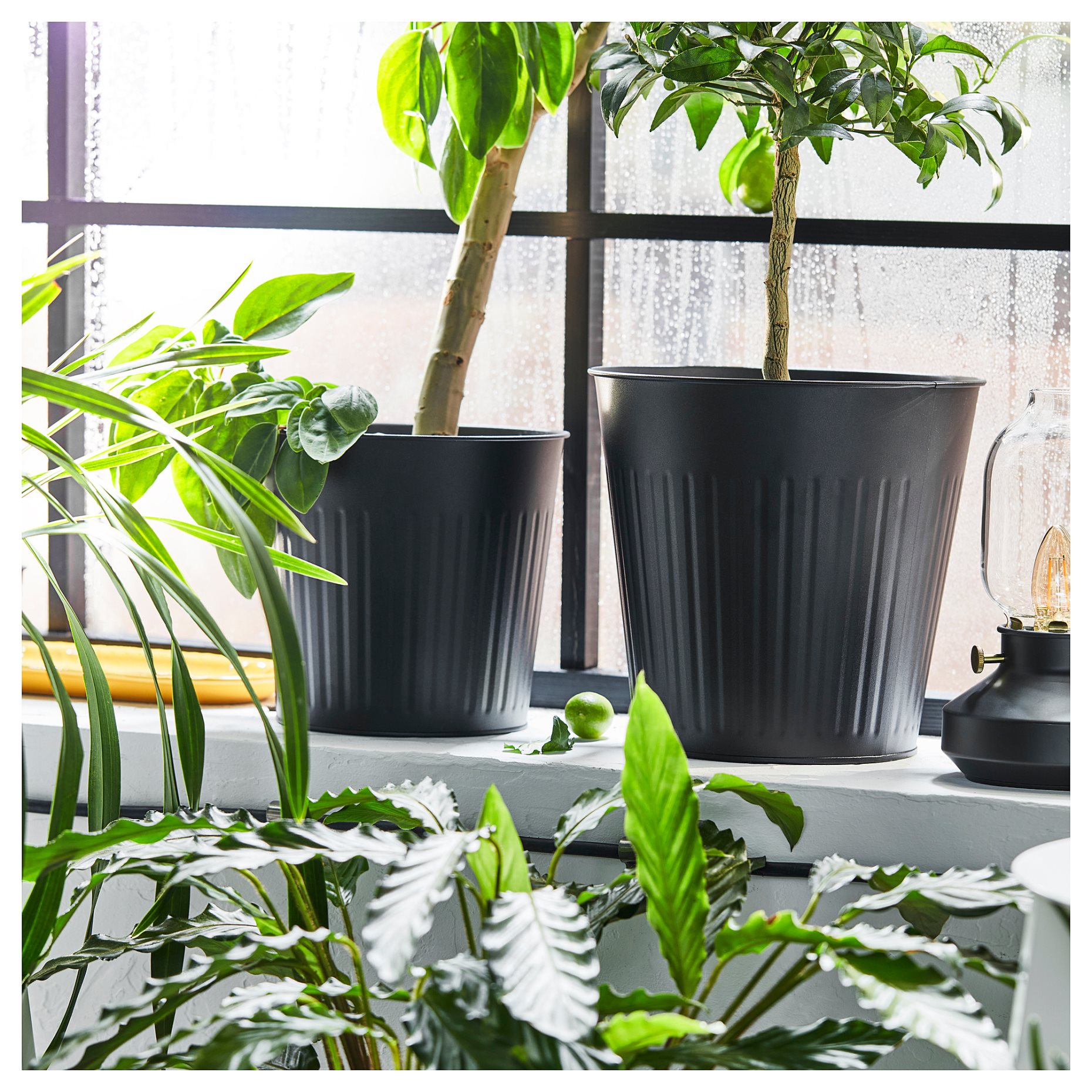 CITRONMELISS, кашпа, за употреба на закрито/открито, 805.625.10