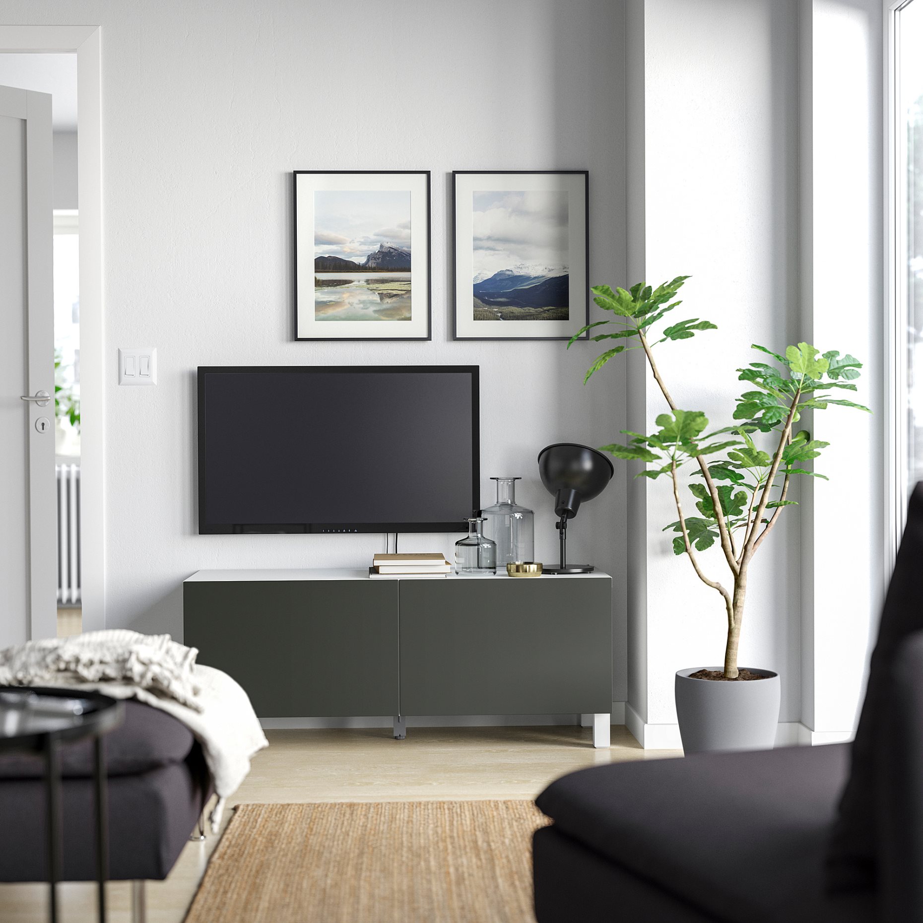 BESTÅ, TV шкаф с вратички, 095.729.57