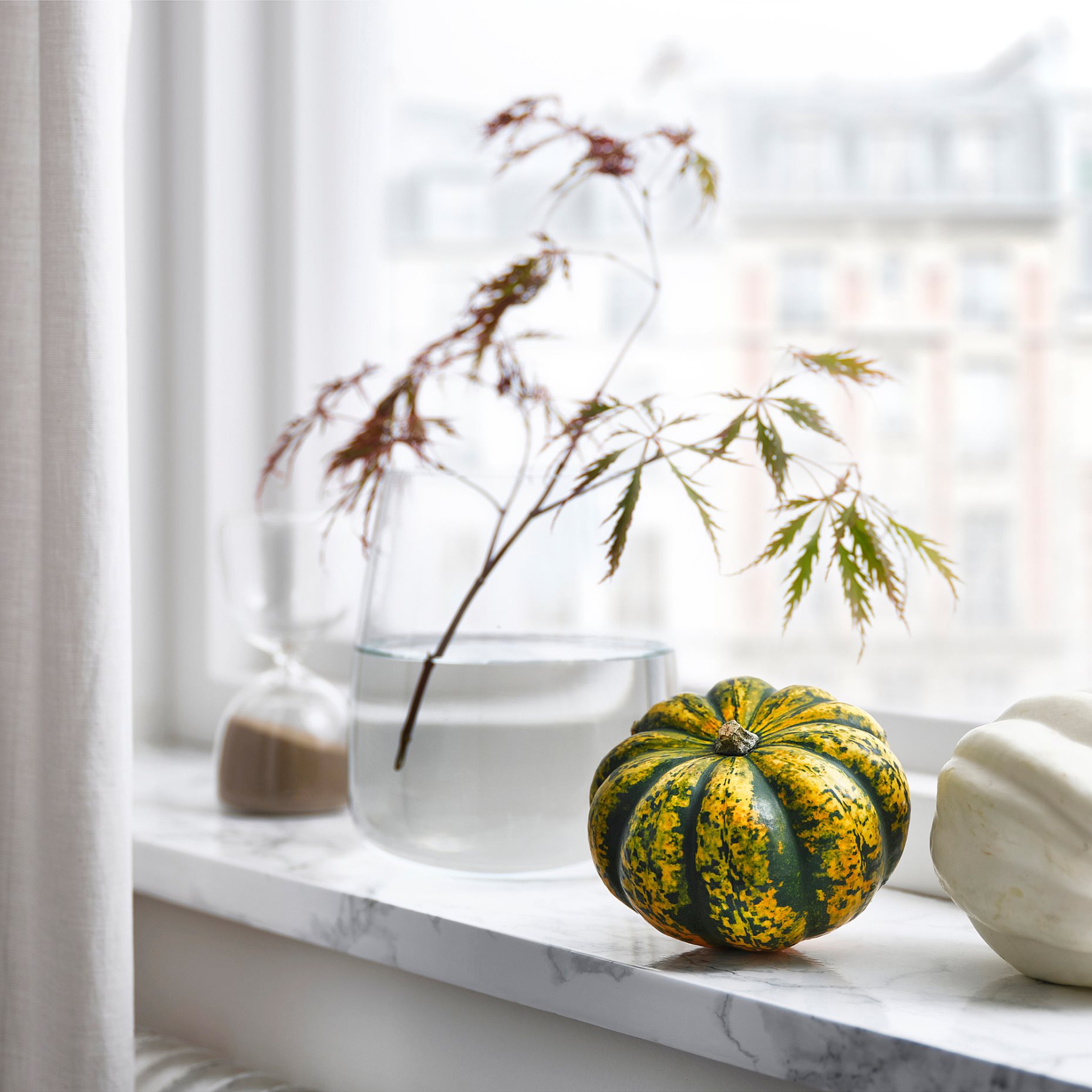 CUCURBITA, декорация, тиква, 106.293.35