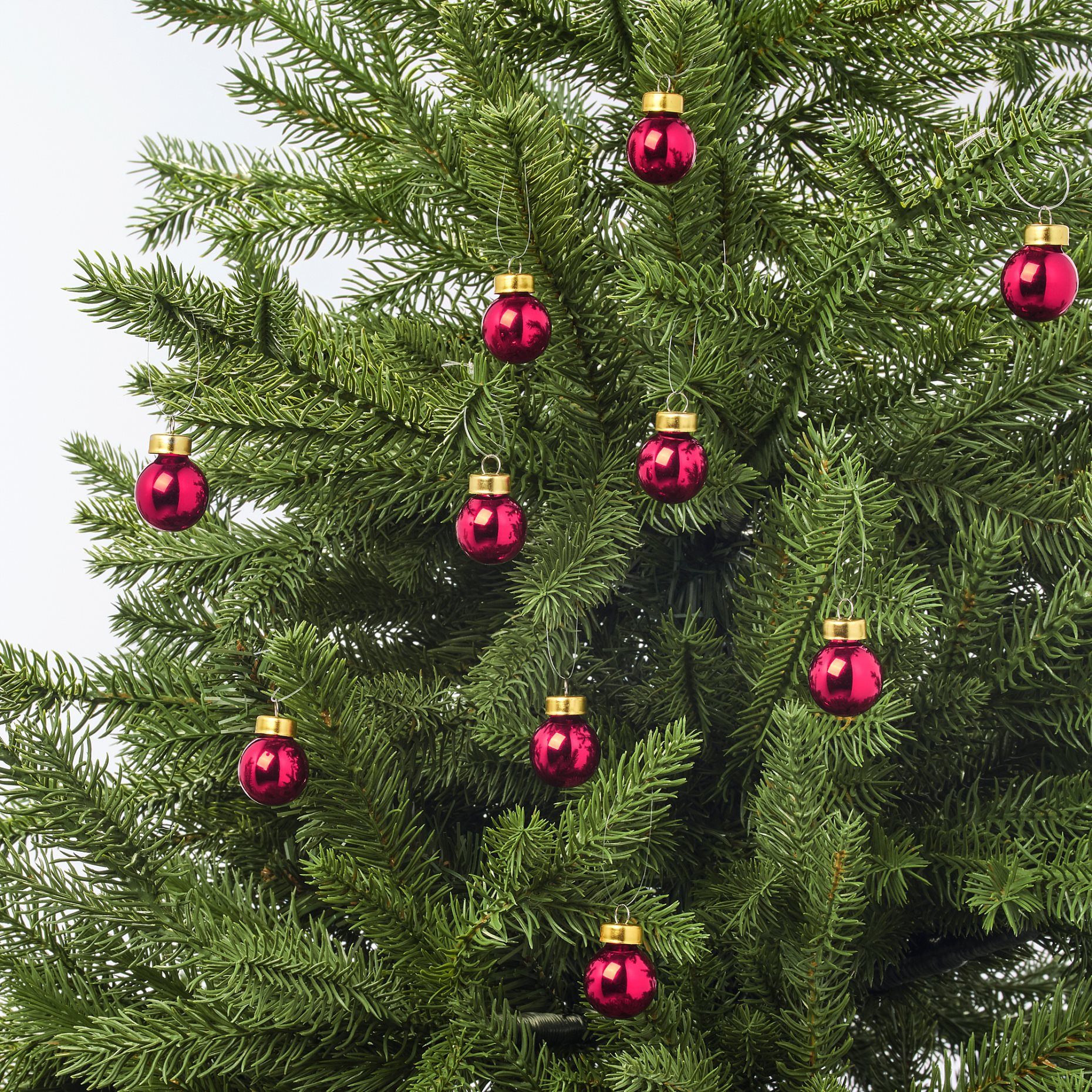 VINTERFEST, декорация, 504.307.95