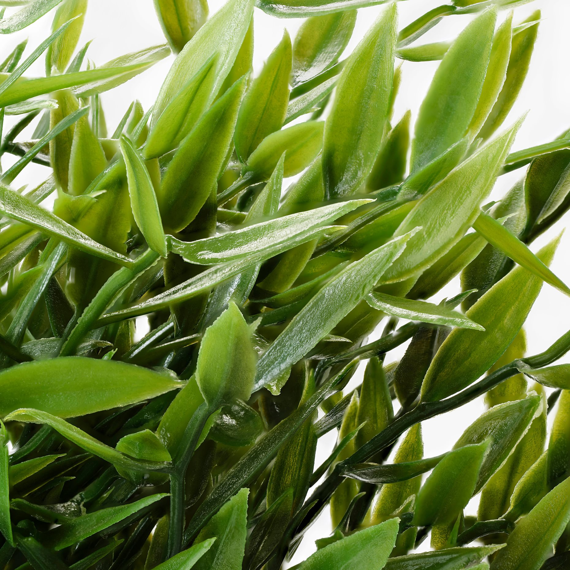FEJKA, изкуствено саксийно растение, за употреба на закрито/открито Бамбук, 604.339.39