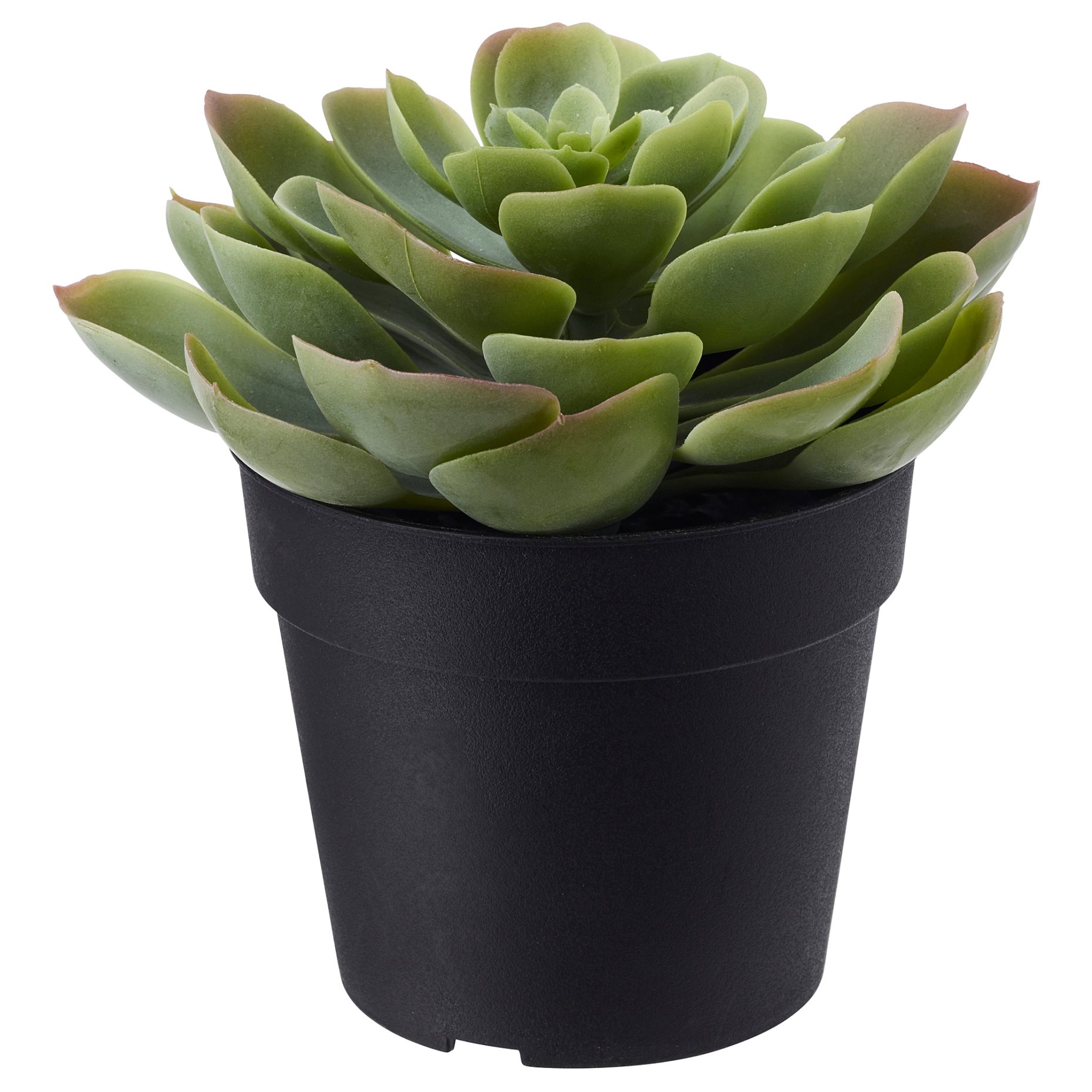 FEJKA, изкуствено саксийно растение, Кактус, за употреба на закрито/открито, 703.953.00