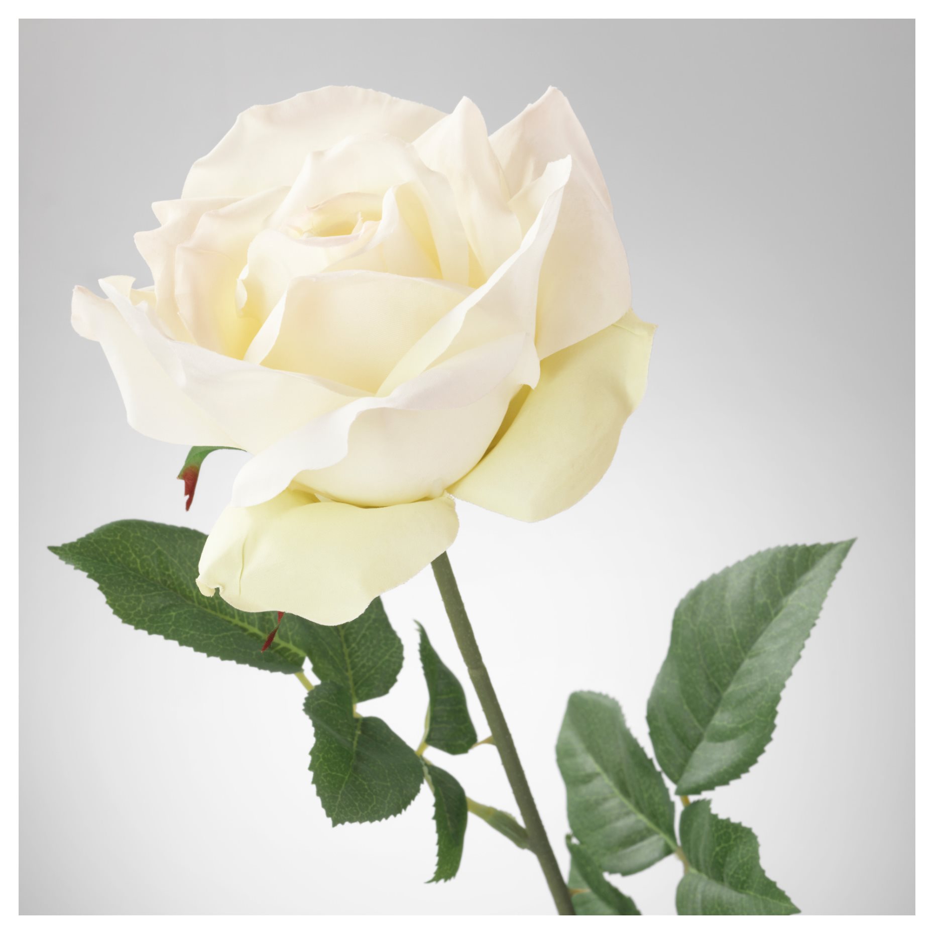 SMYCKA, изкуствено цвете, Роза, 903.357.01