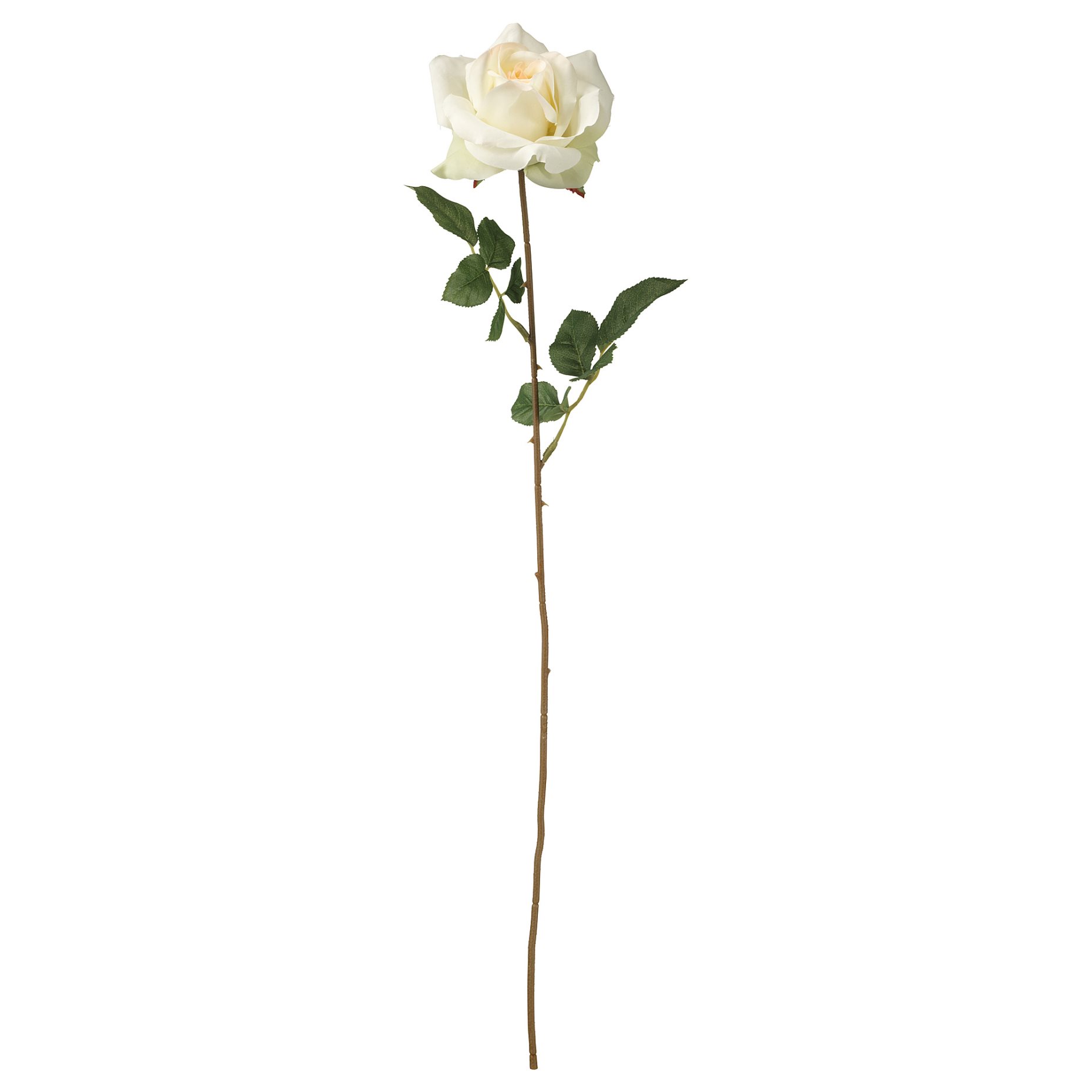 SMYCKA, изкуствено цвете, Роза, 903.357.01