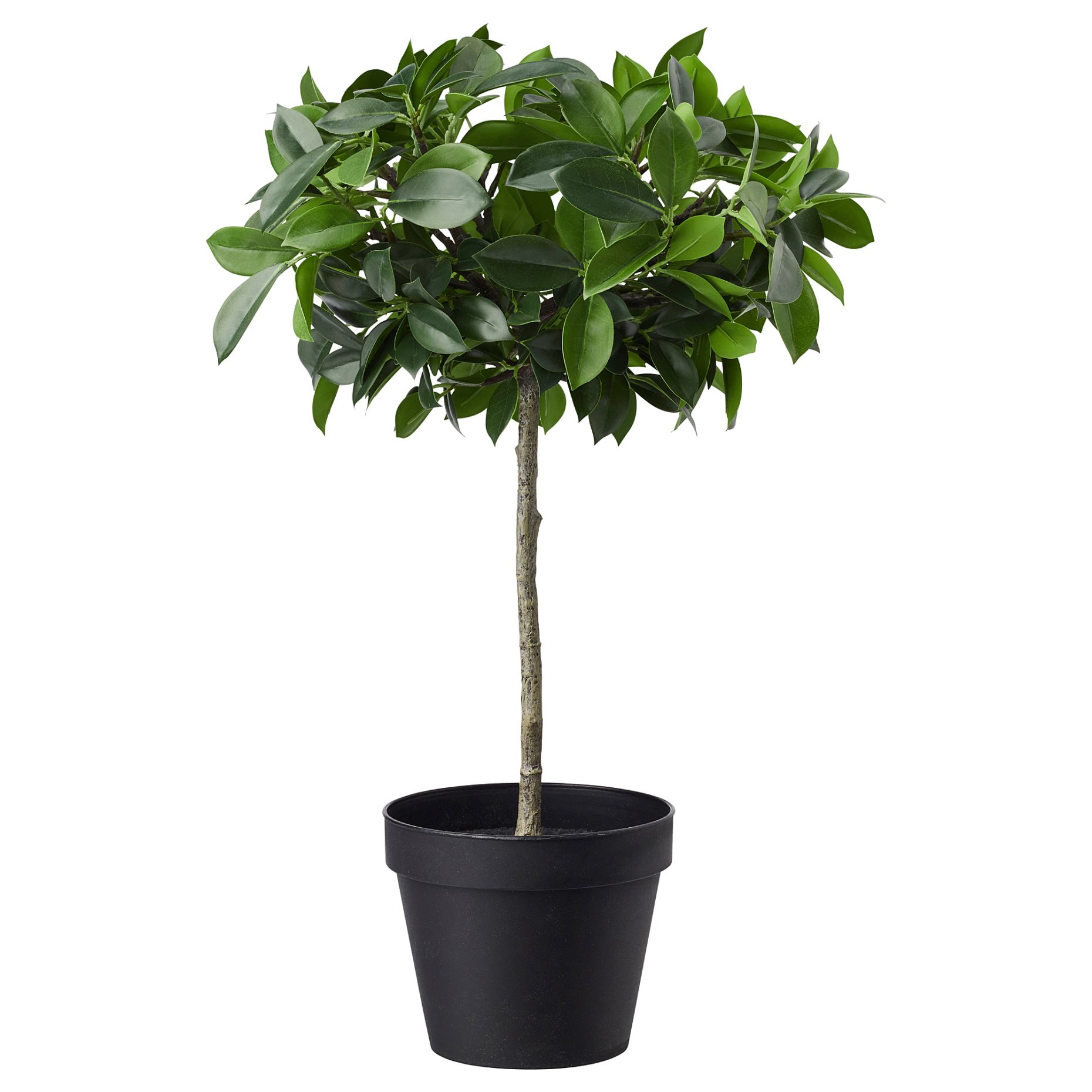 FEJKA, изкуствено саксийно растение, за употреба на закрито/открито, Плачеща смокиня стъбло, 003.953.08