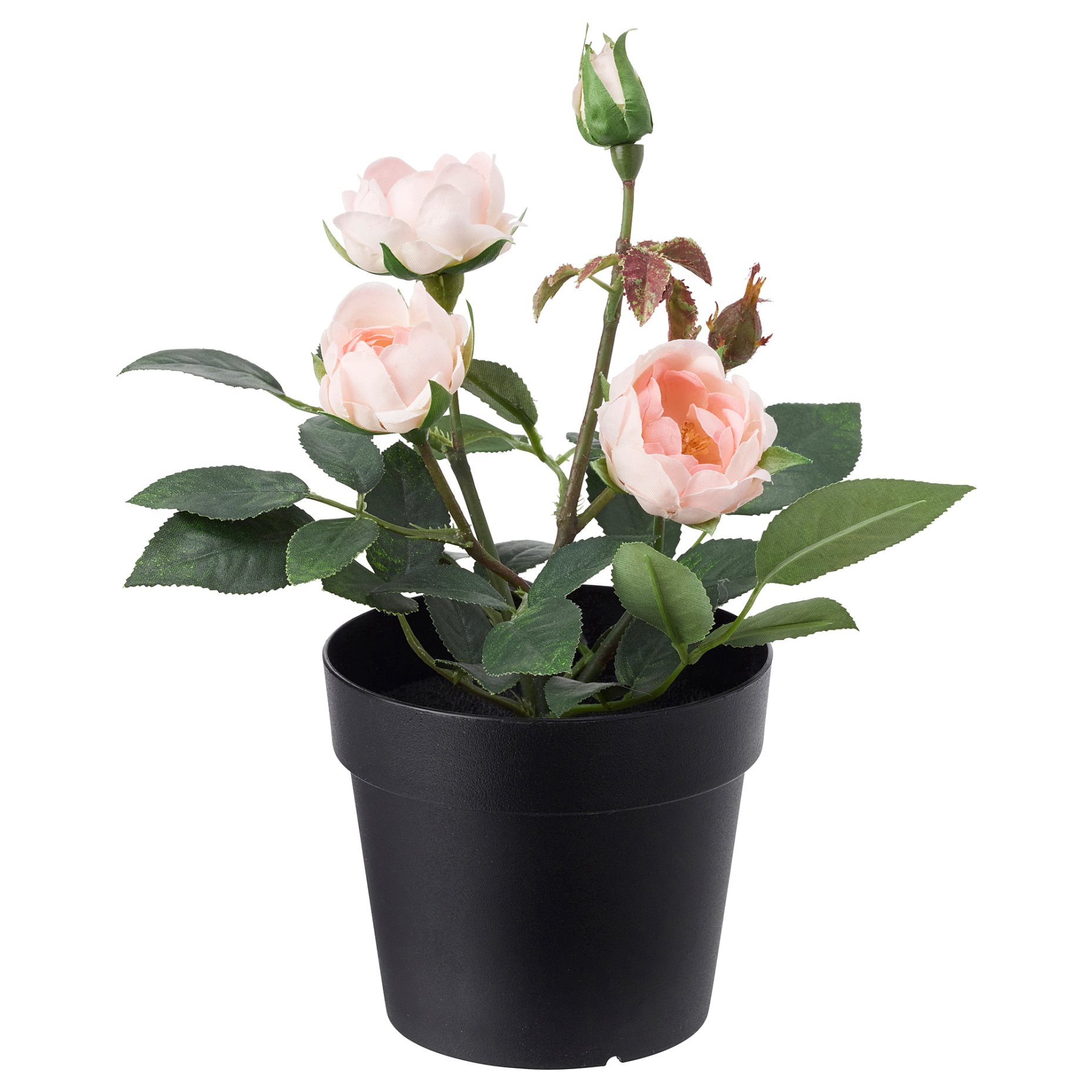 FEJKA, изкуствено саксийно растение, Роза, за употреба на закрито/открито, 003.953.13