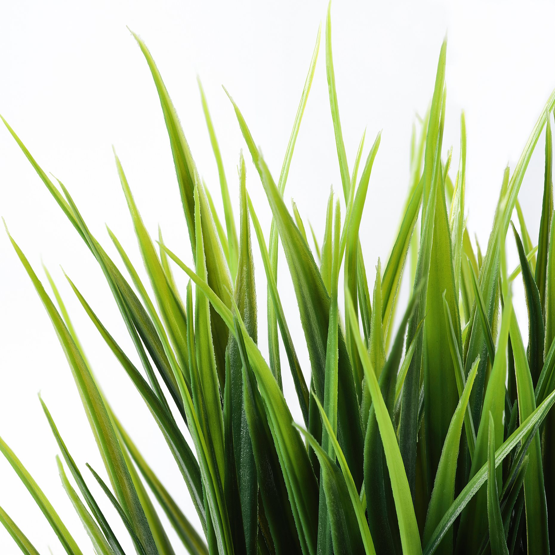 FEJKA, изкуствено саксийно растение, за употреба на закрито/открито трева, 004.339.42