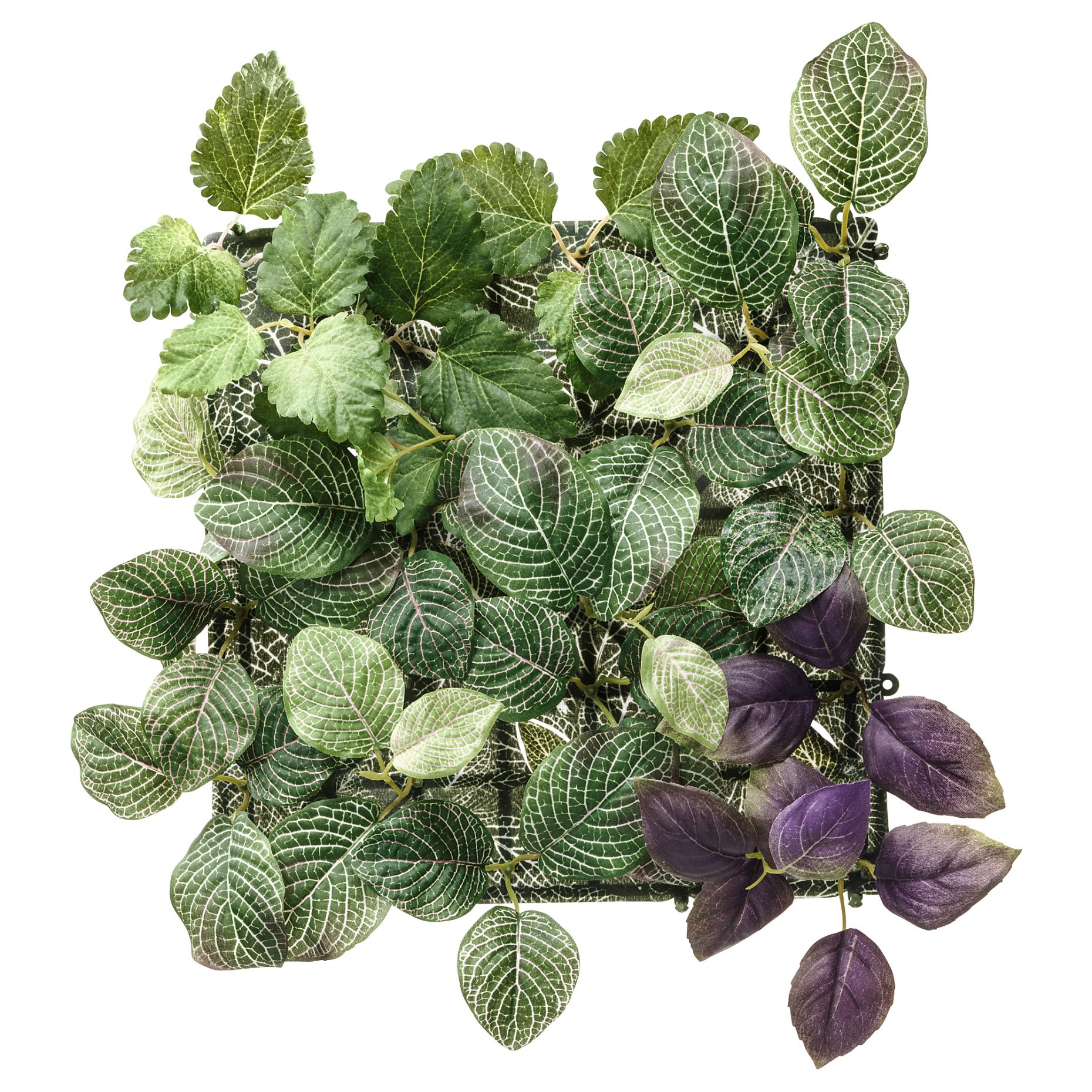 FEJKA, изкуствено растение за стенен монтаж, за употреба на закрито/открито, 203.495.32