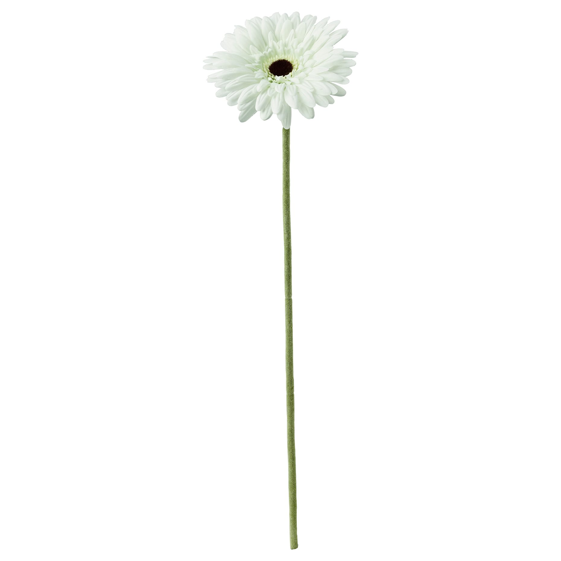 SMYCKA, изкуствено цвете, Гербера, 204.097.95