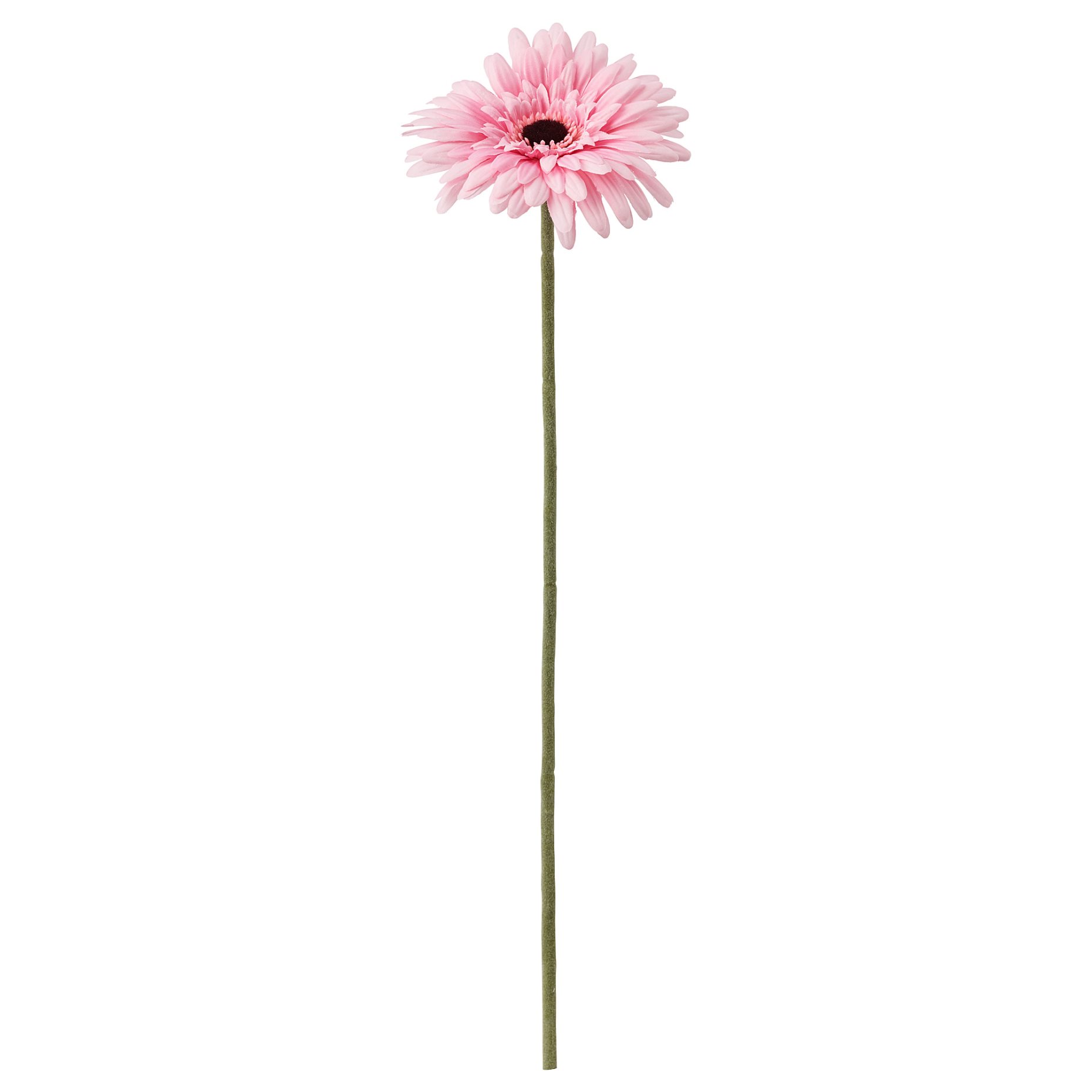 SMYCKA, изкуствено цвете, Гербера, 304.097.71