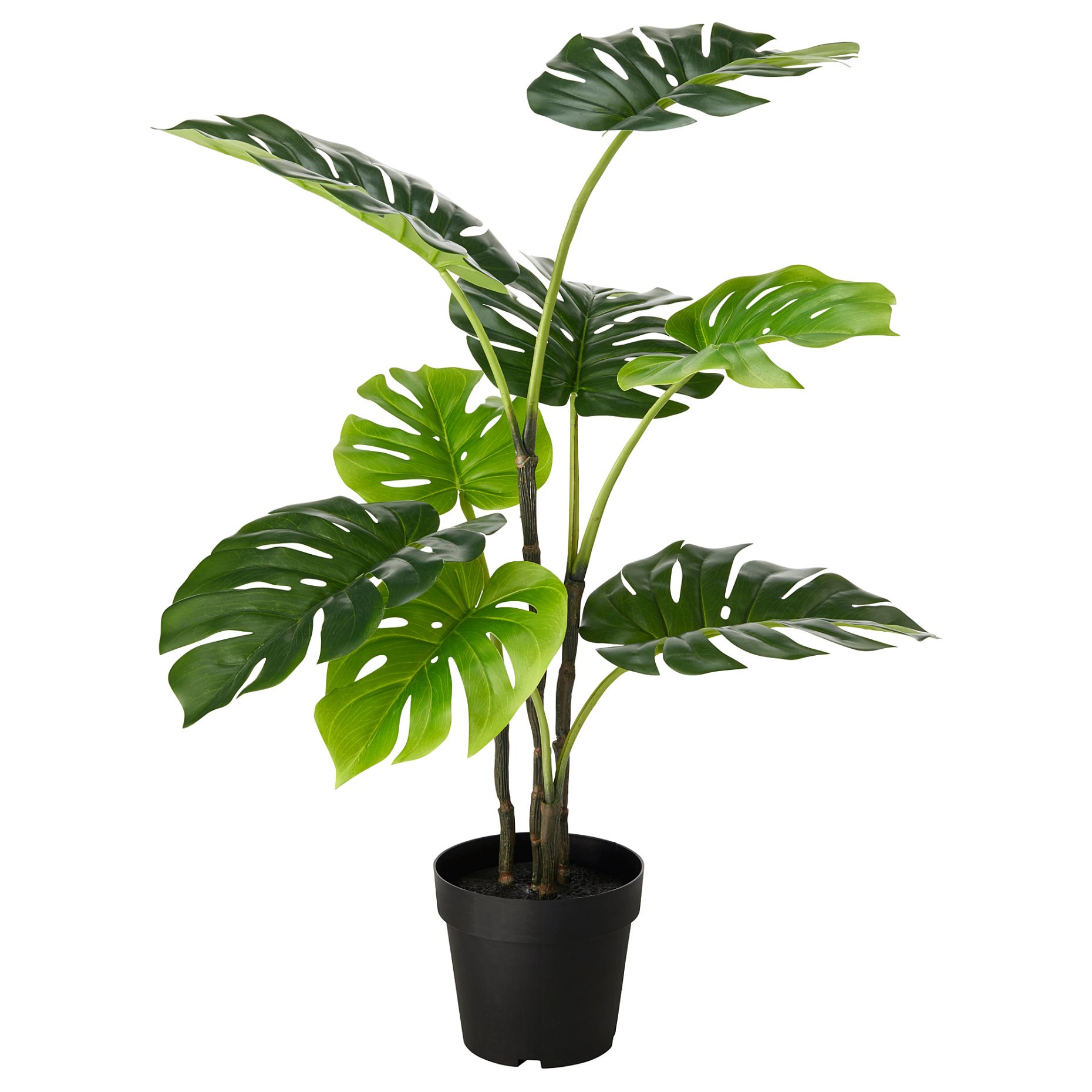 FEJKA, изкуствено саксийно растение, Монстера, за употреба на закрито/открито, 403.952.88