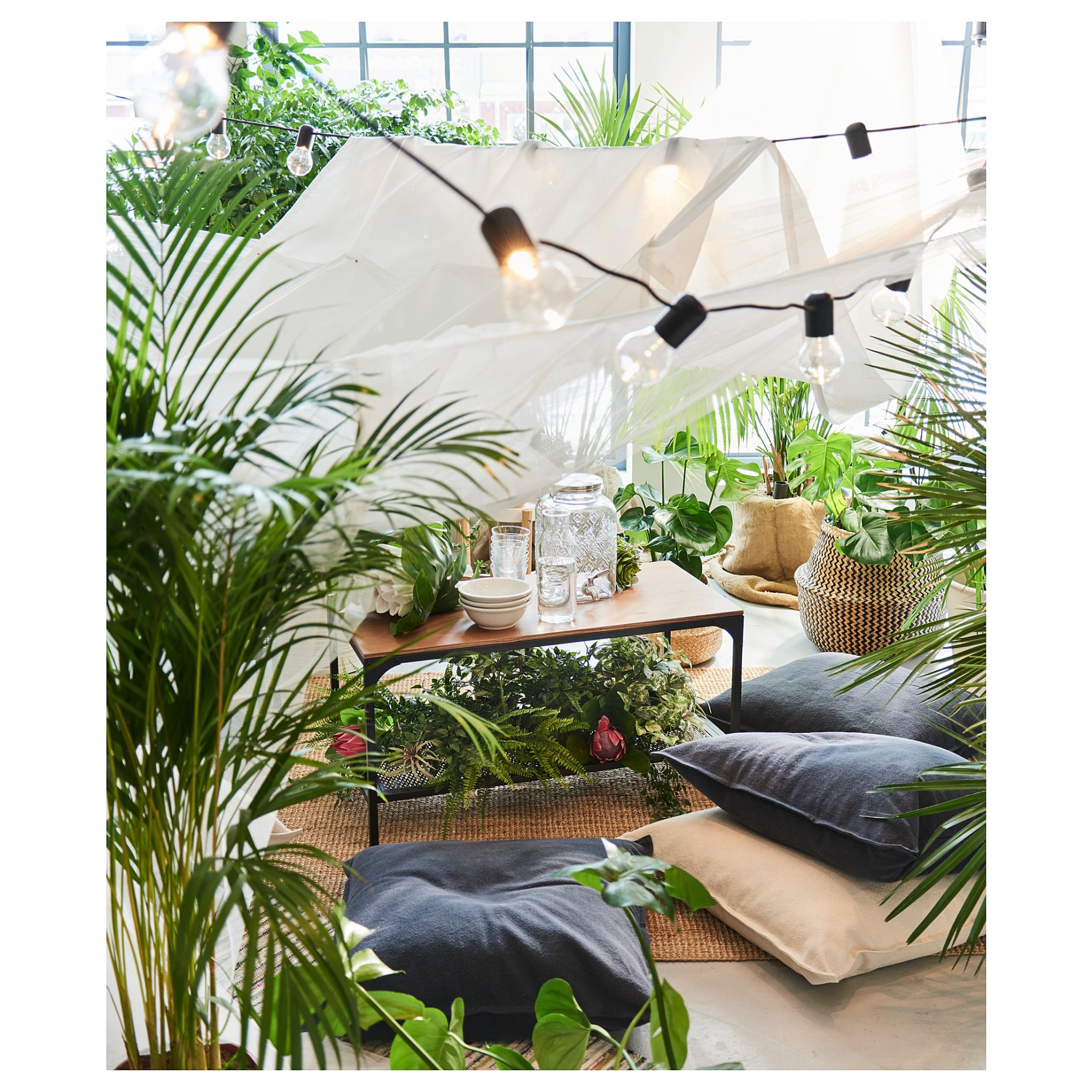 LUTESCENS, саксийно растение 24 см, Палма Areca, 468.040.05