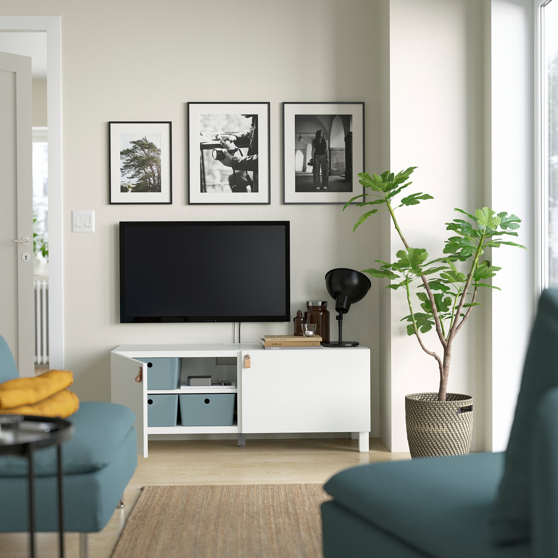 BESTÅ, TV шкаф с вратички, 294.194.36