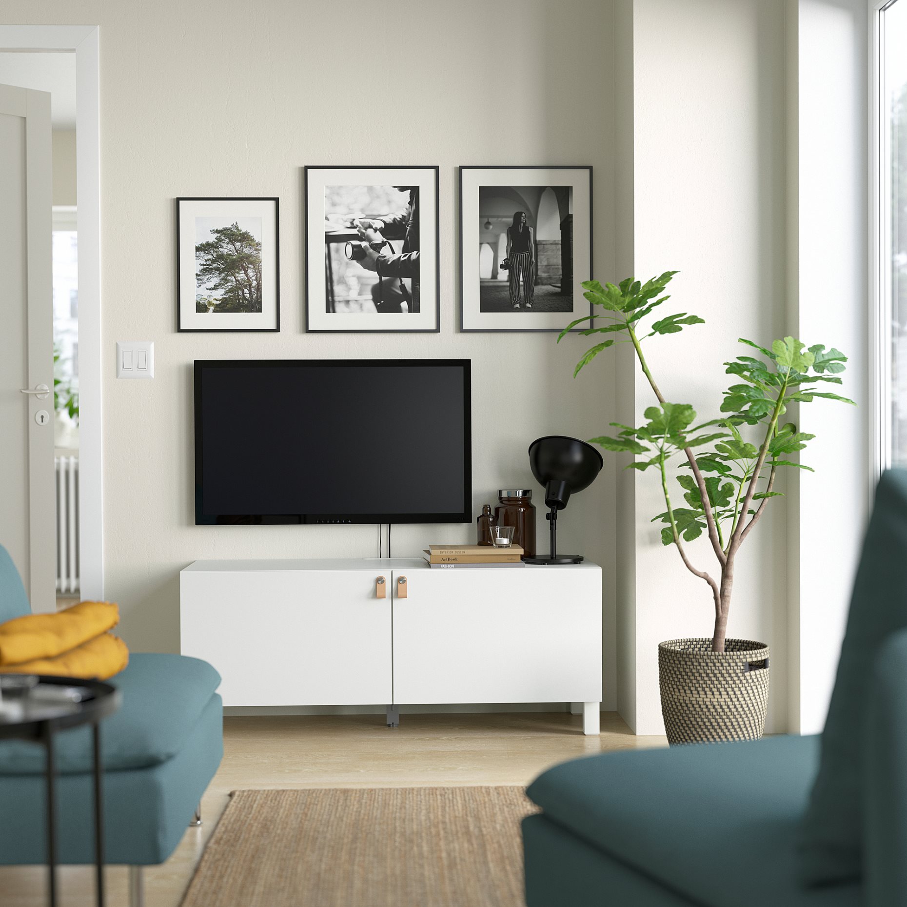 BESTÅ, TV шкаф с вратички, 294.194.36