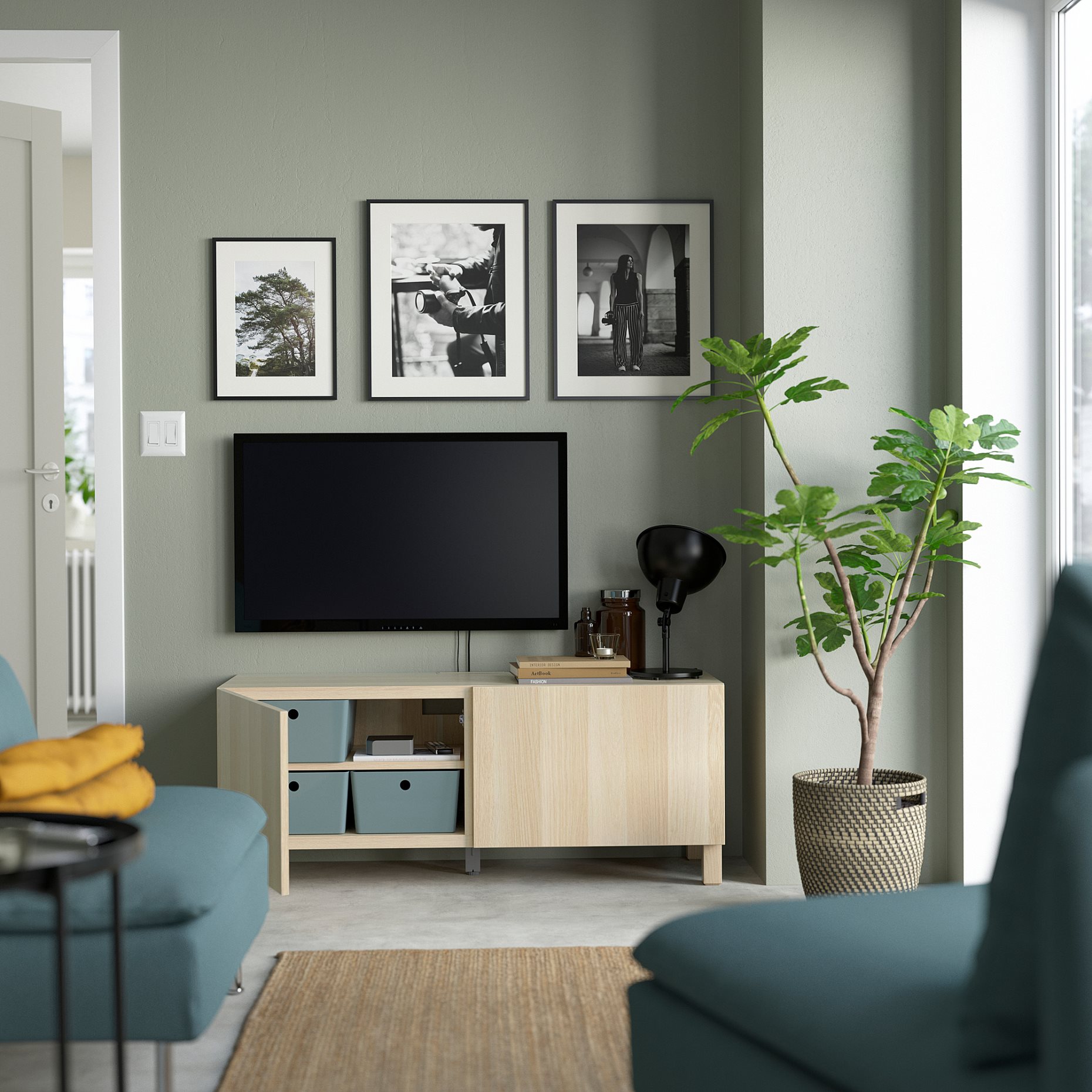 BESTÅ, TV шкаф с вратички, 394.196.24