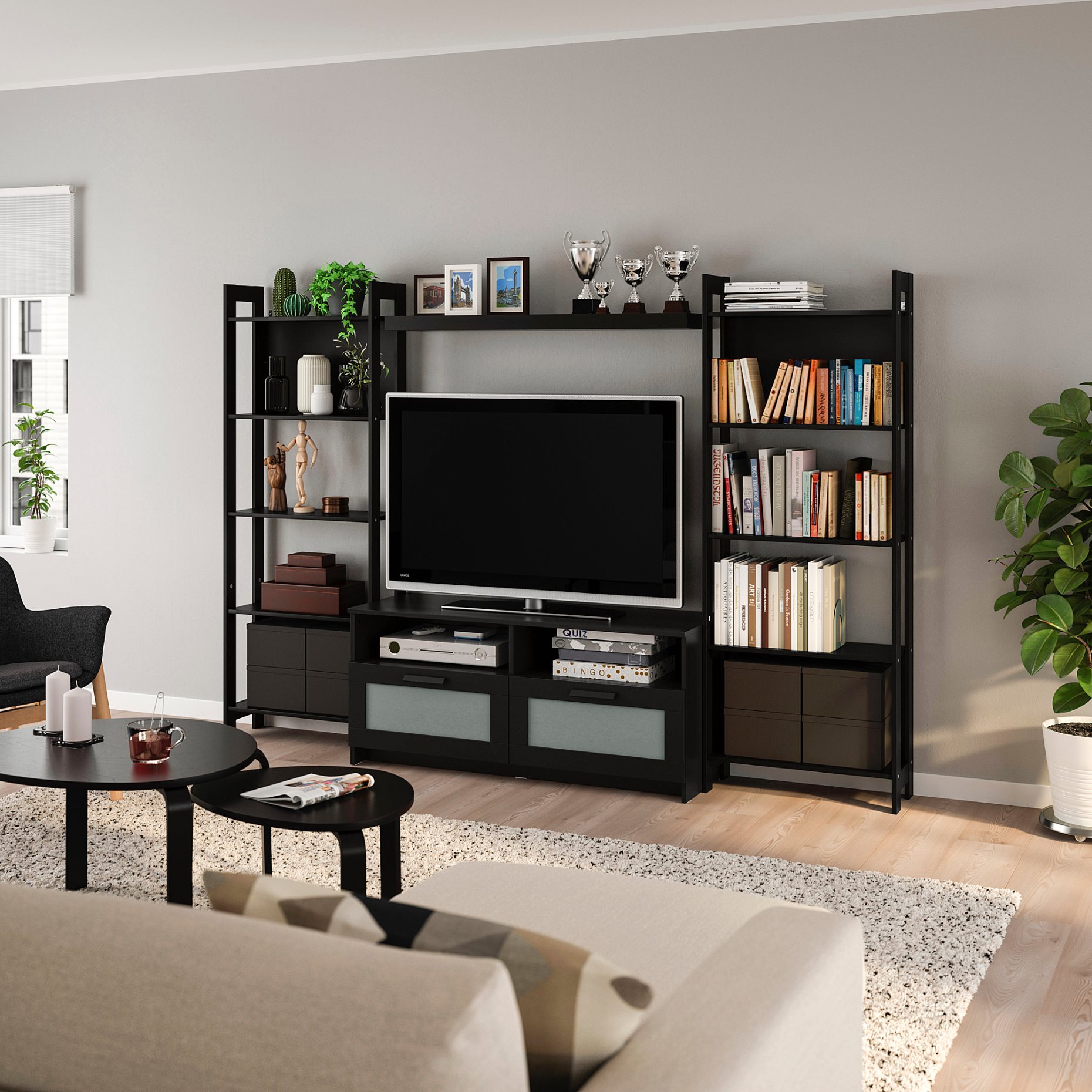 LAIVA/BRIMNES, TV секция, 493.986.21