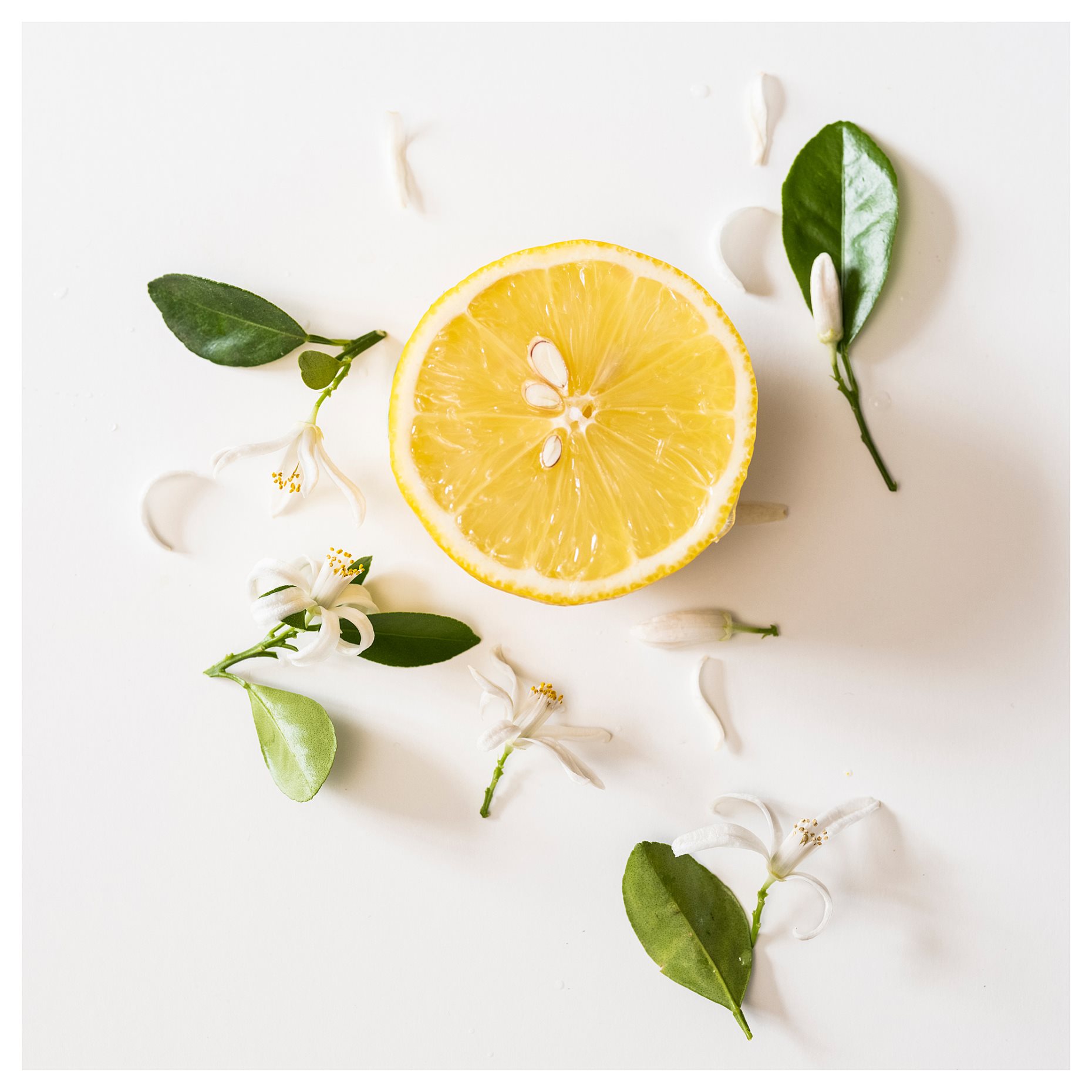 MORKULLA, ароматна свещ в чаша, 2 фитила, Цитрусов цвят, 22 ч., 006.195.96