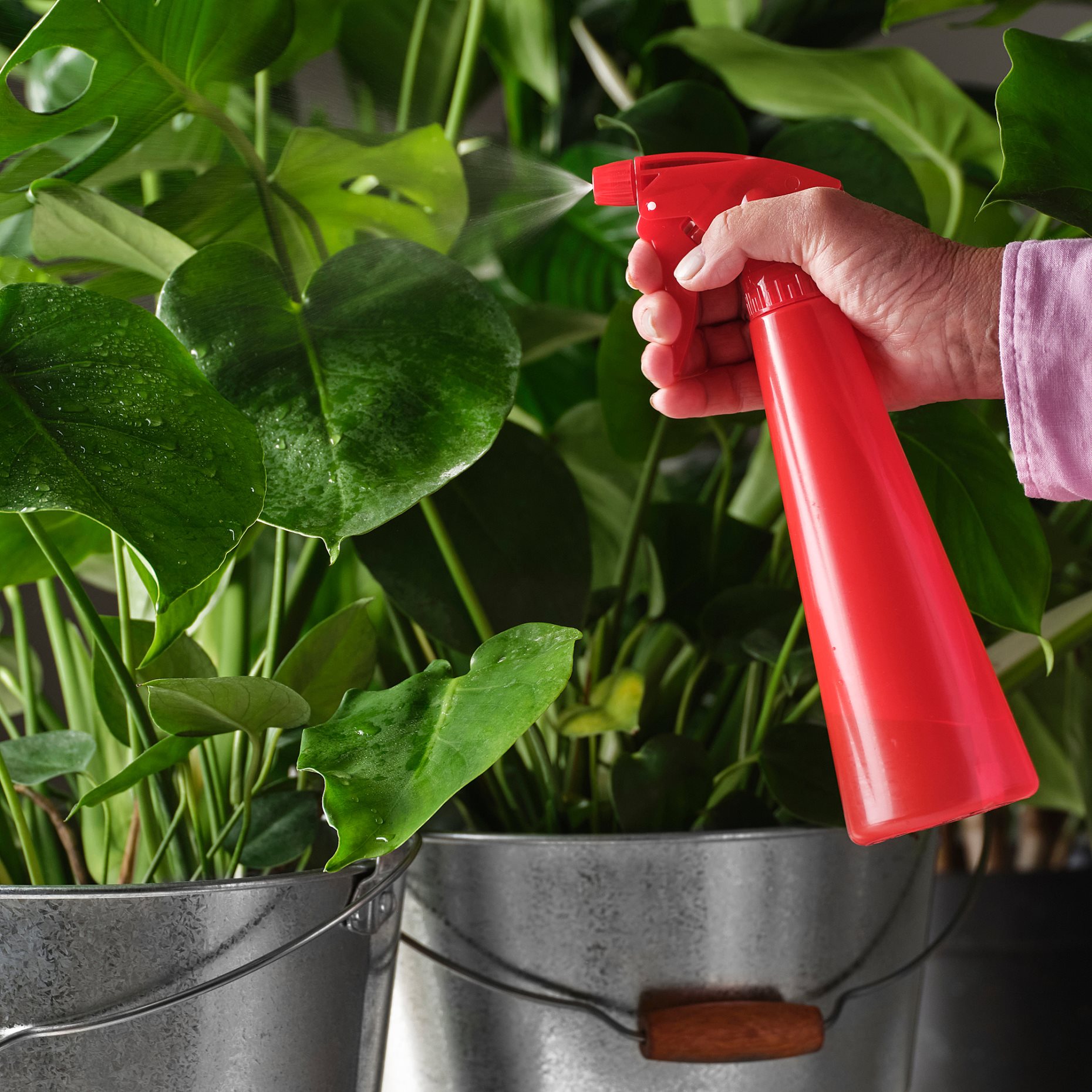 TOMAT, пулверизатор за цветя, 350 мл, 106.119.91