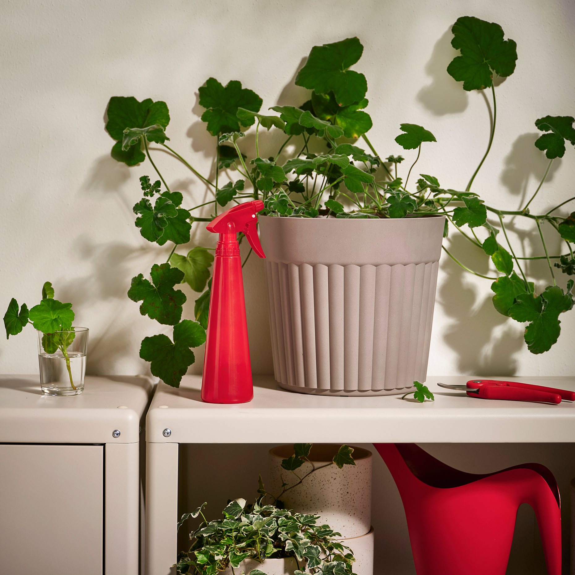 TOMAT, пулверизатор за цветя, 350 мл, 106.119.91