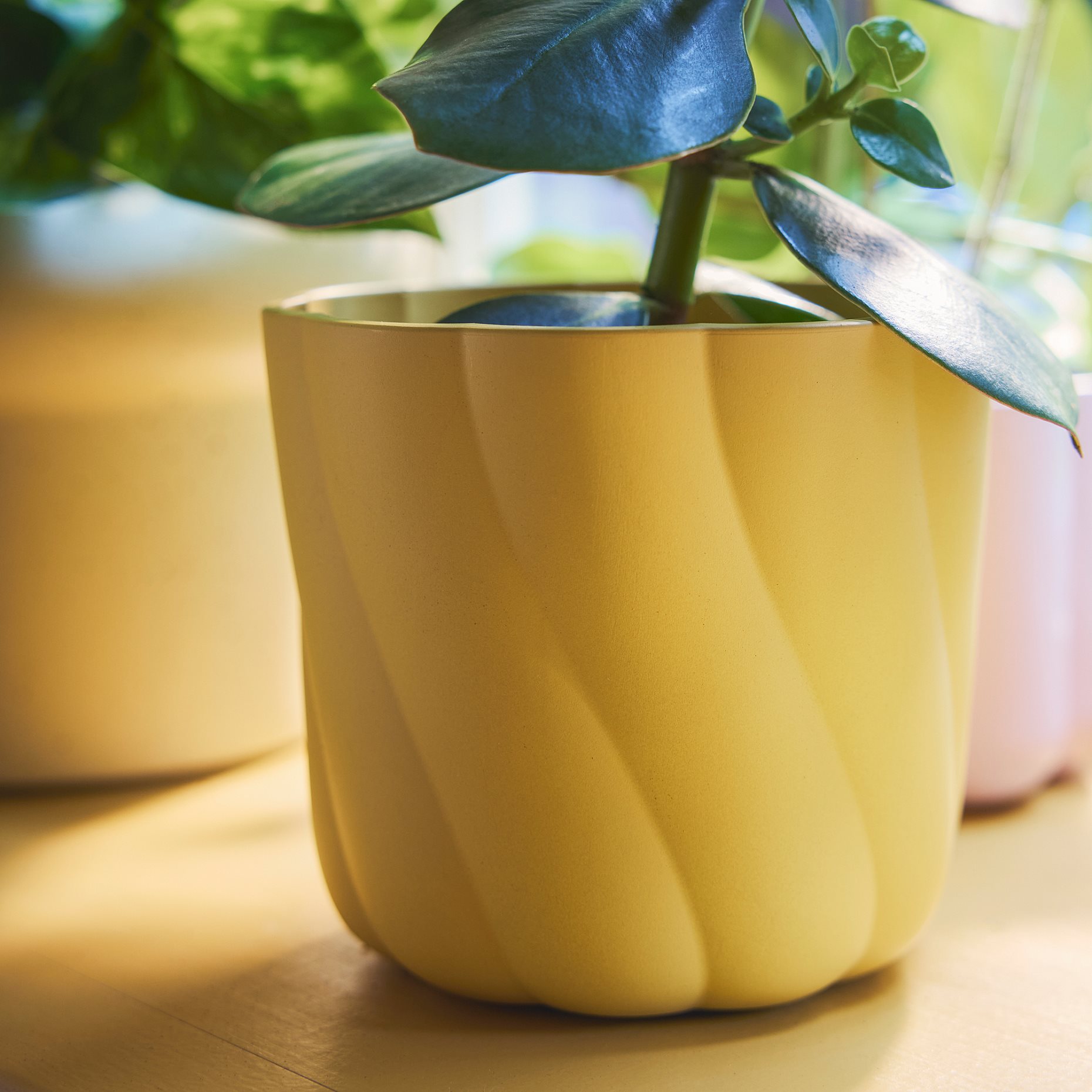 DOFTRIPS, кашпа, 12 см, 106.123.25