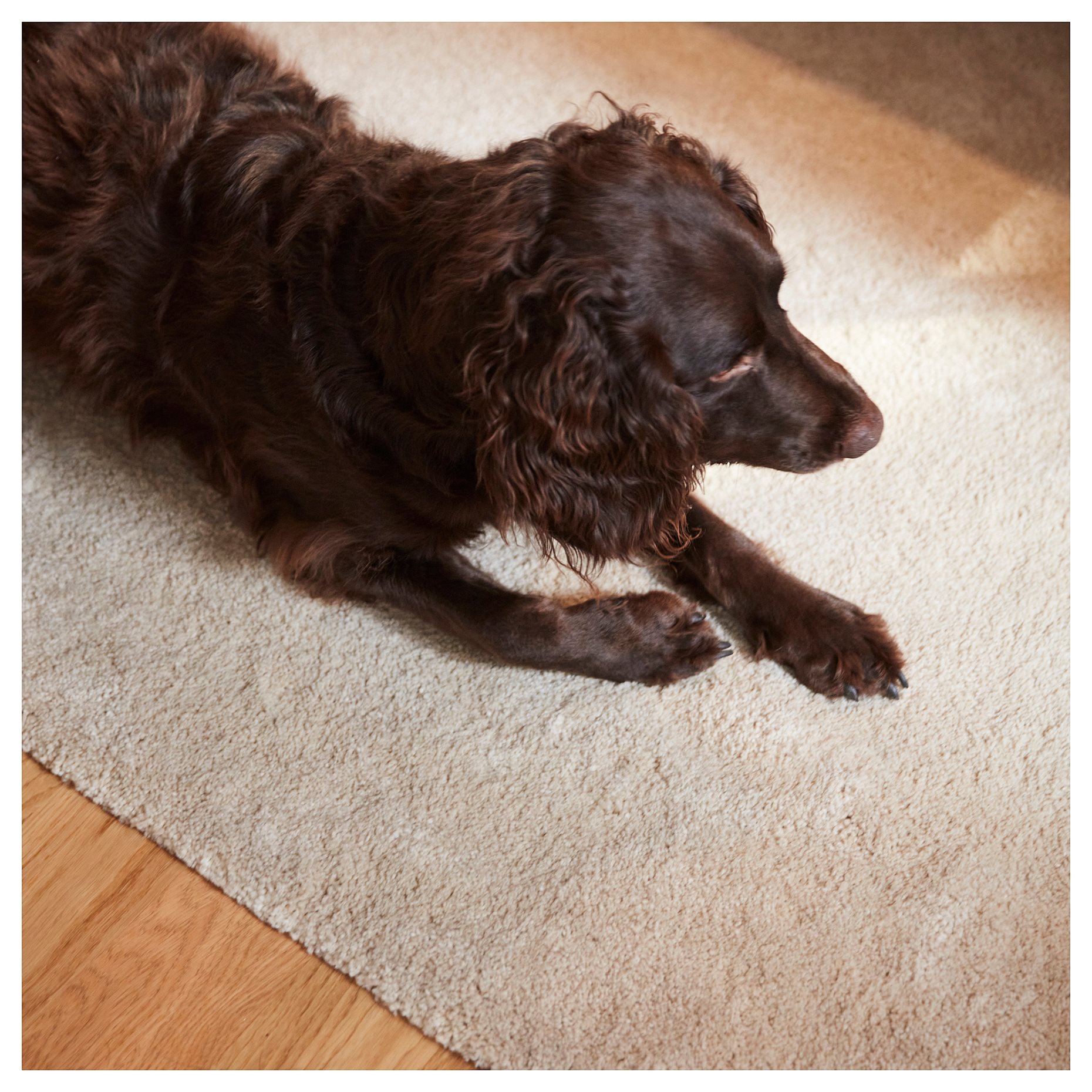 STOENSE, килим, къса нишка, 106.288.59