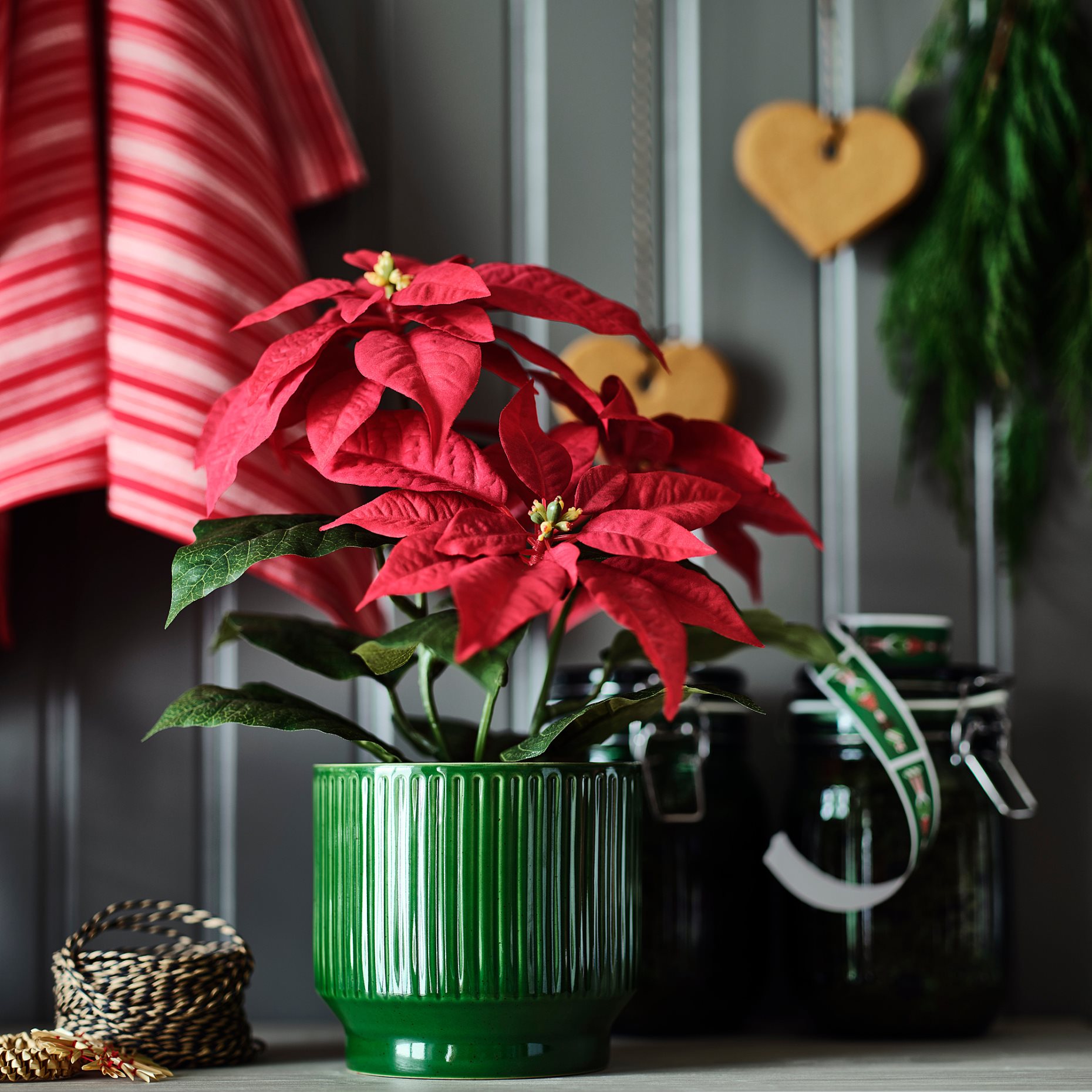 VINTERFINT, кашпа, 206.078.99