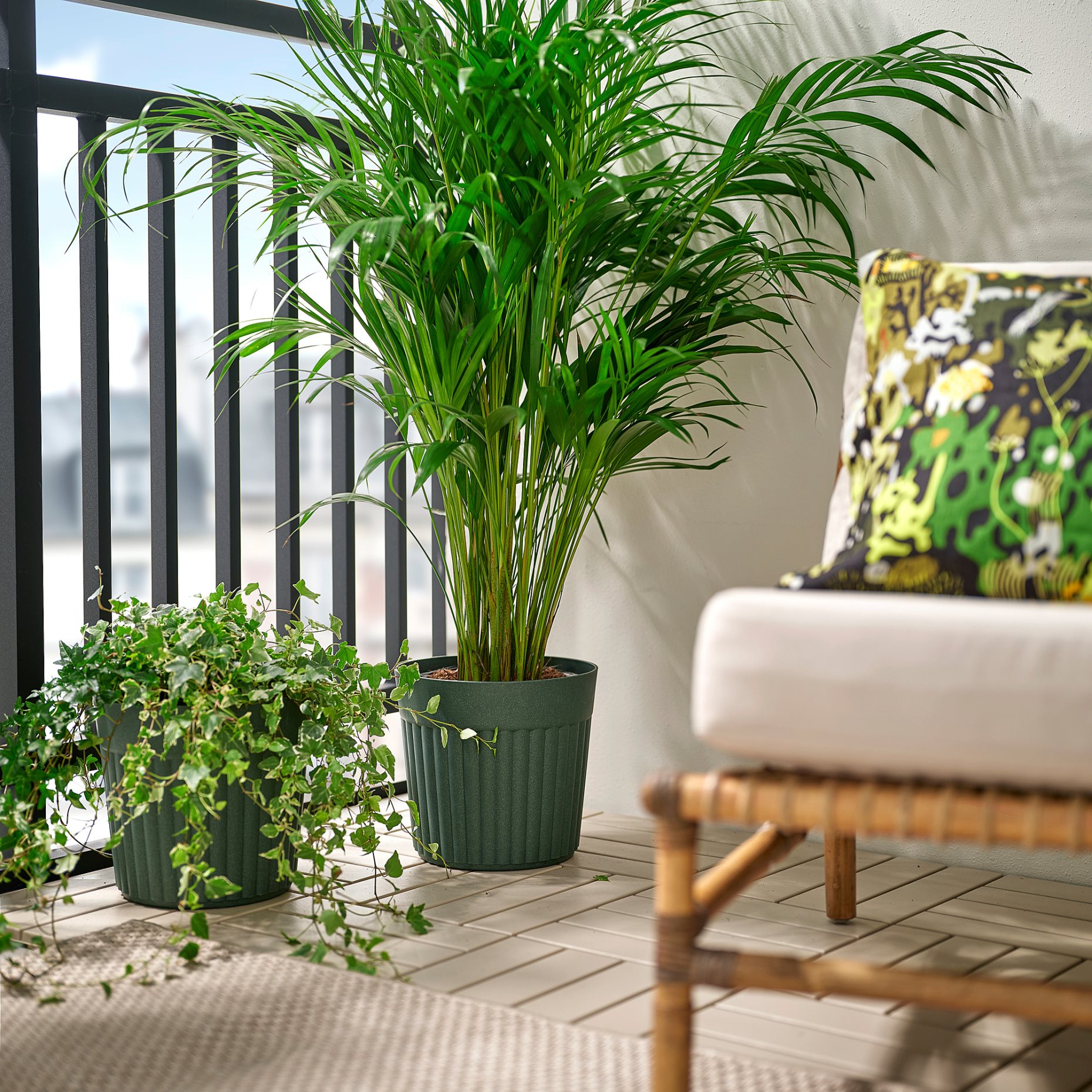 FRÄKENVÄXT, кашпа, 24 см, 206.108.73