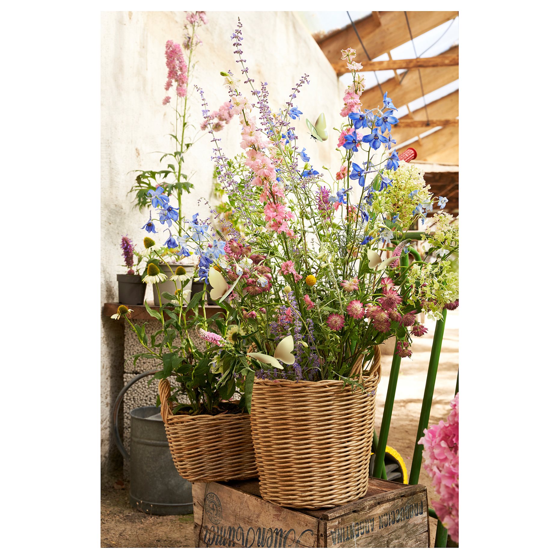 FLODBJÖRK, кашпа, 24 см, 206.120.61