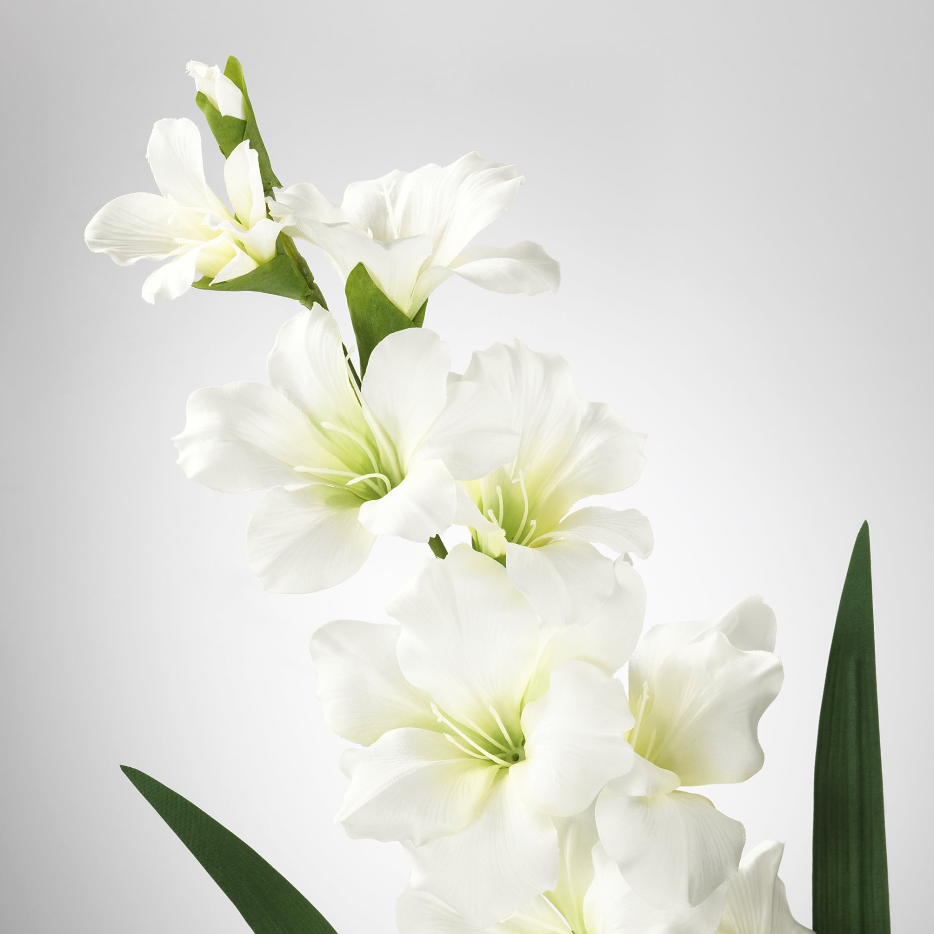 SMYCKA, изкуствено цвете, Гладиола, 303.335.83