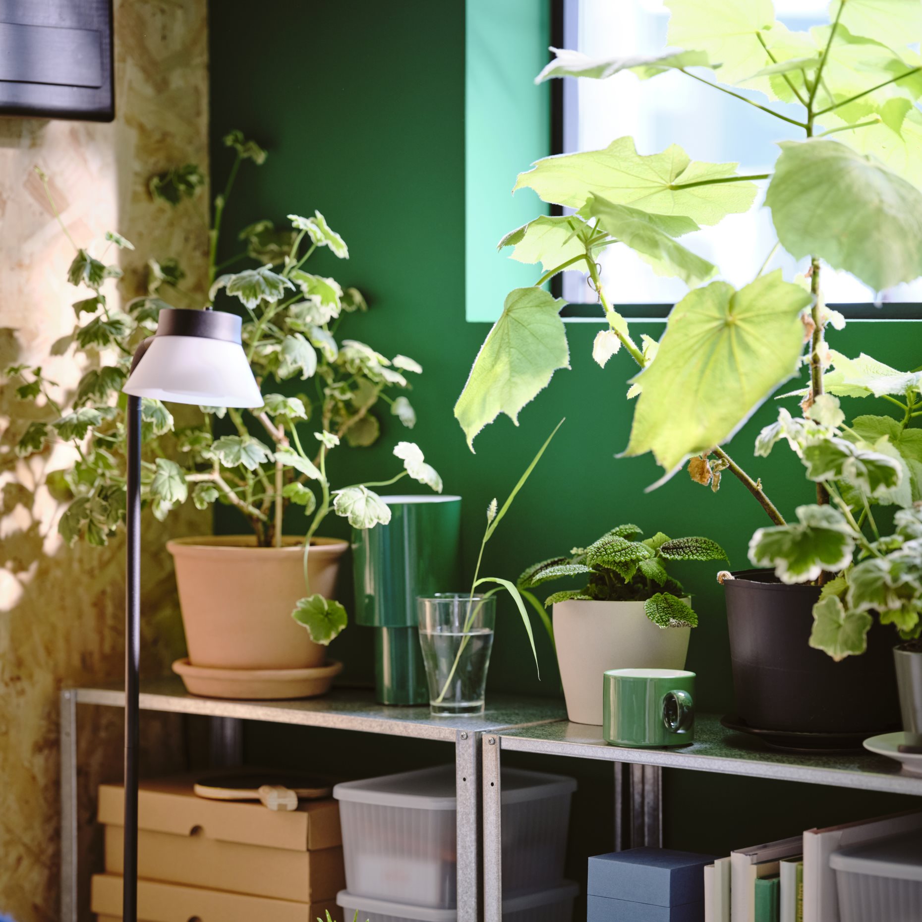HYLLIS, етажерка за употреба на закрито/открито, 304.283.26