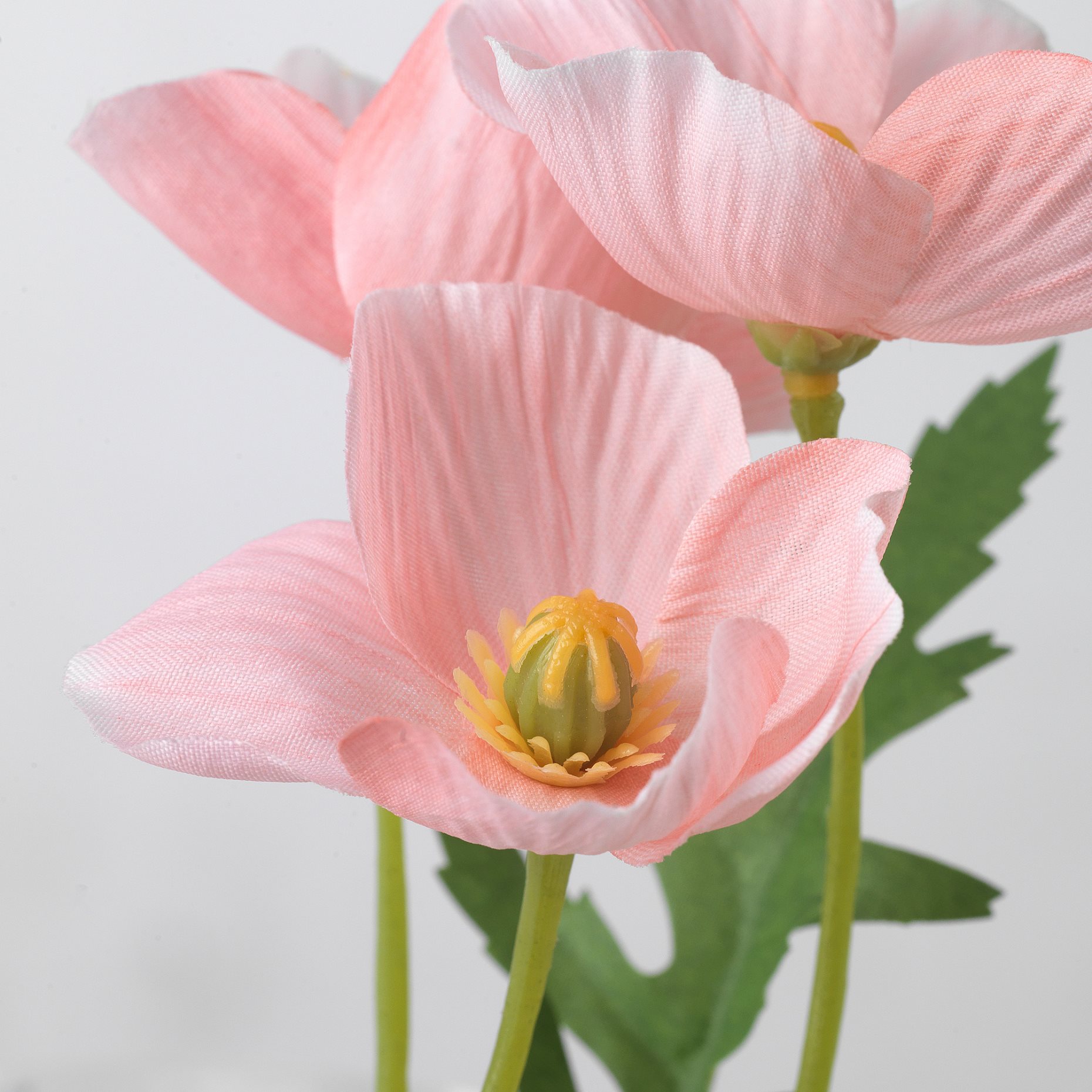 SMYCKA, изк. цвете, уп. на закрито/открито, Мак, 305.601.51