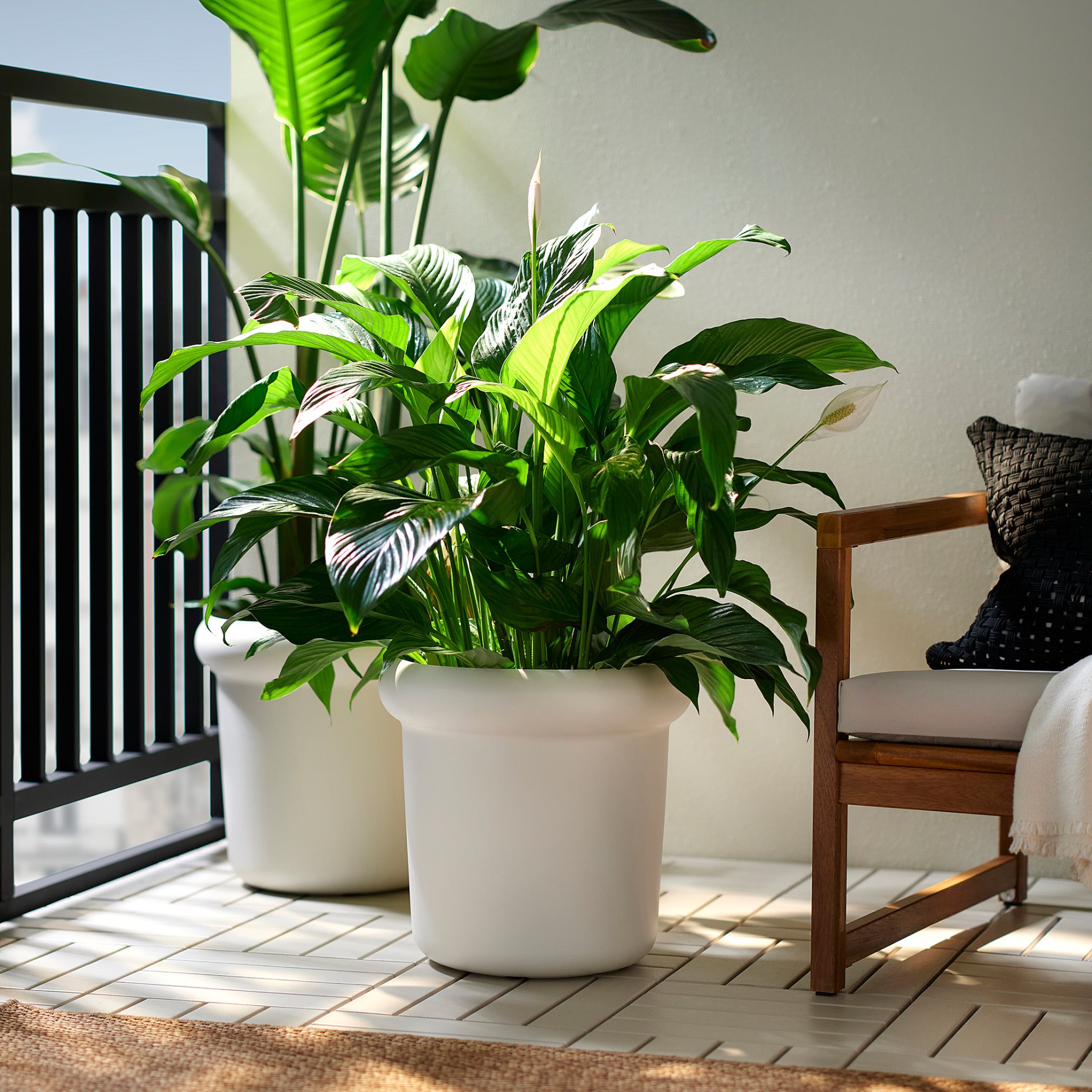 MÅBÄRSBUSKE, кашпа, 32 см, 306.124.71