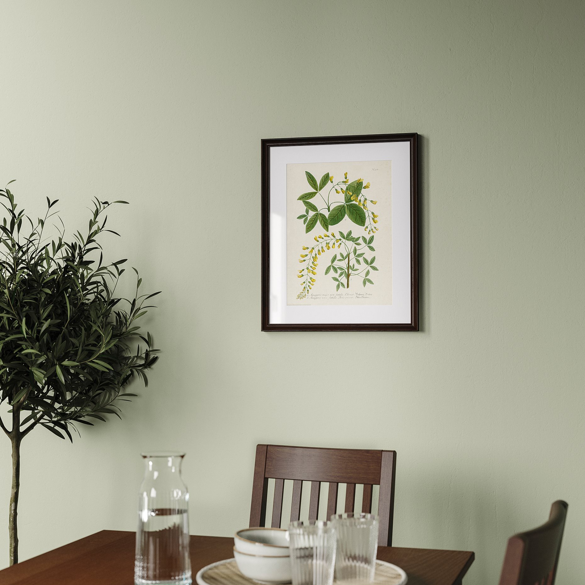 KLOTKÖRSBÄR, рамка, 406.100.75