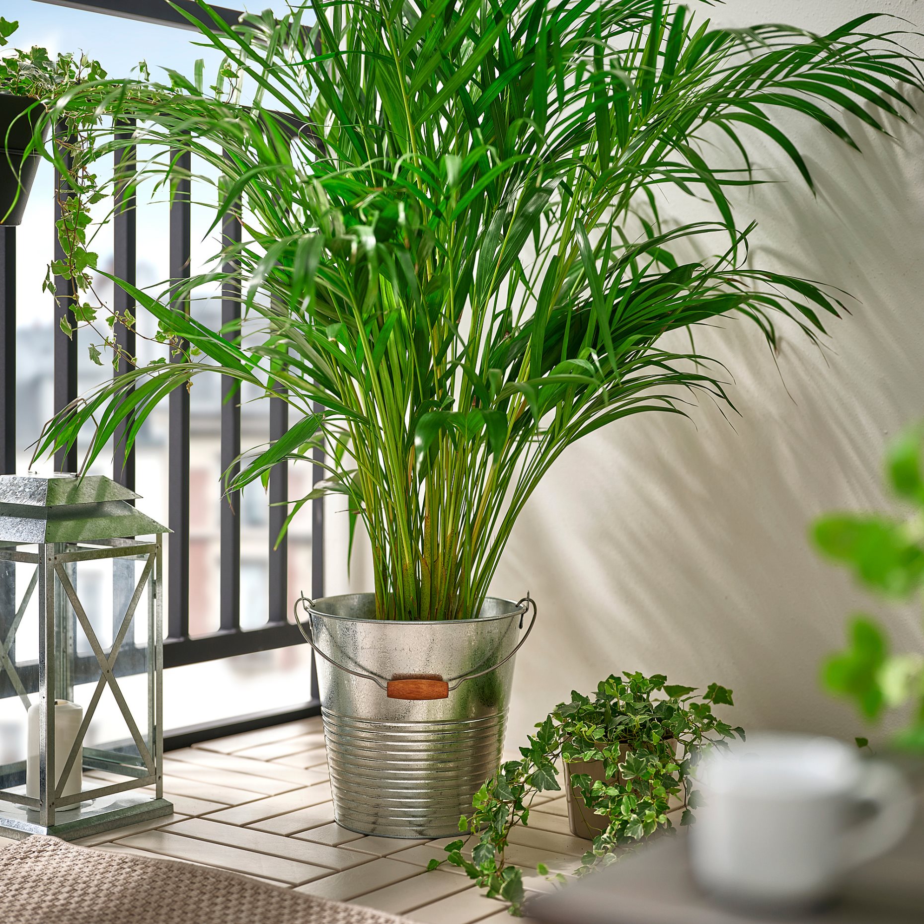 KORKGRAN, кофа/саксия, 10 л, 406.119.80