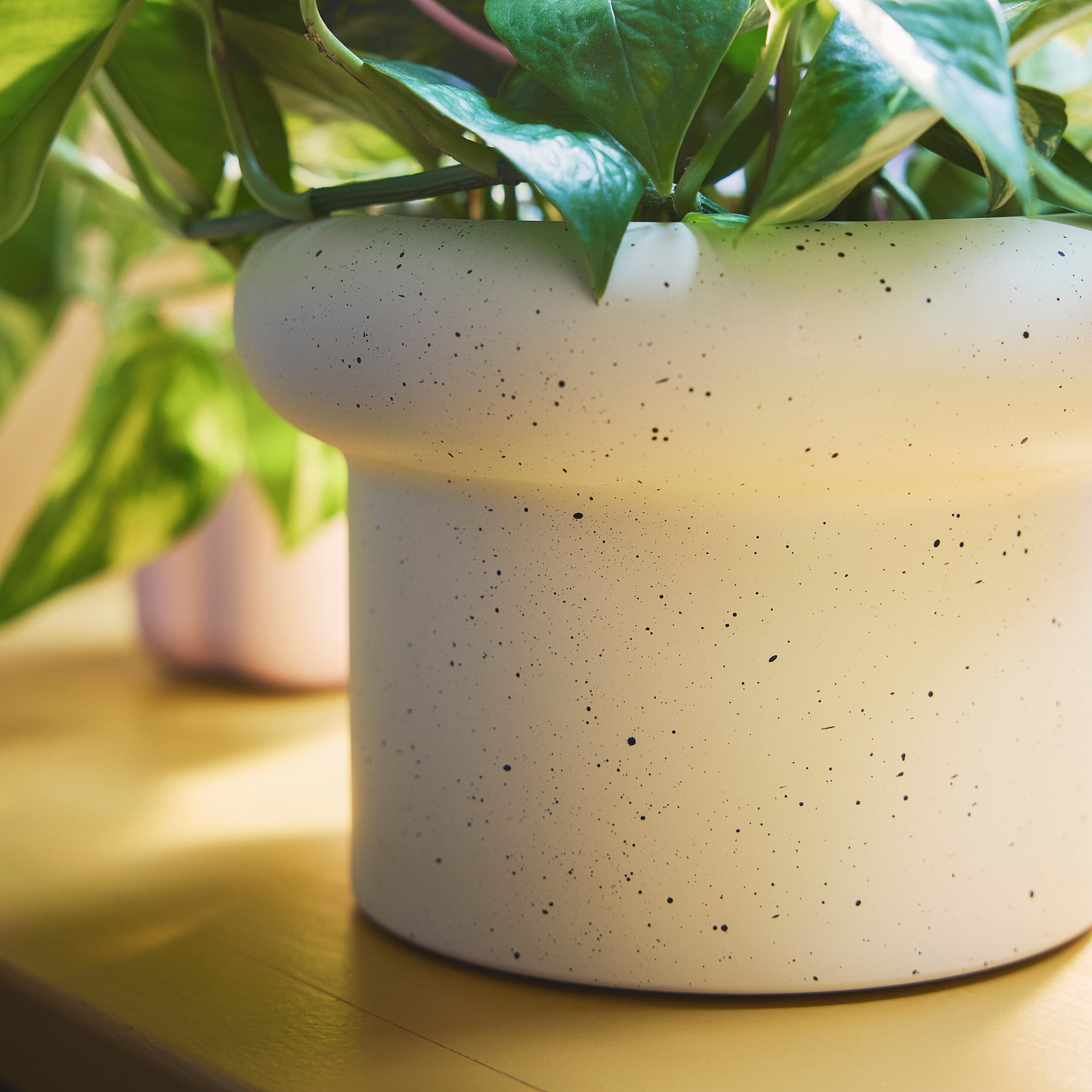 DOFTRIPS, кашпа, 15 см, 406.123.24