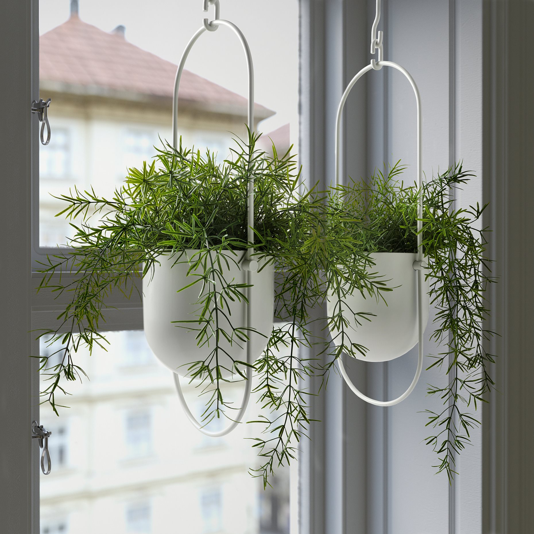 FEJKA, изкуствено саксийно растение, Аспарагус, 505.932.40