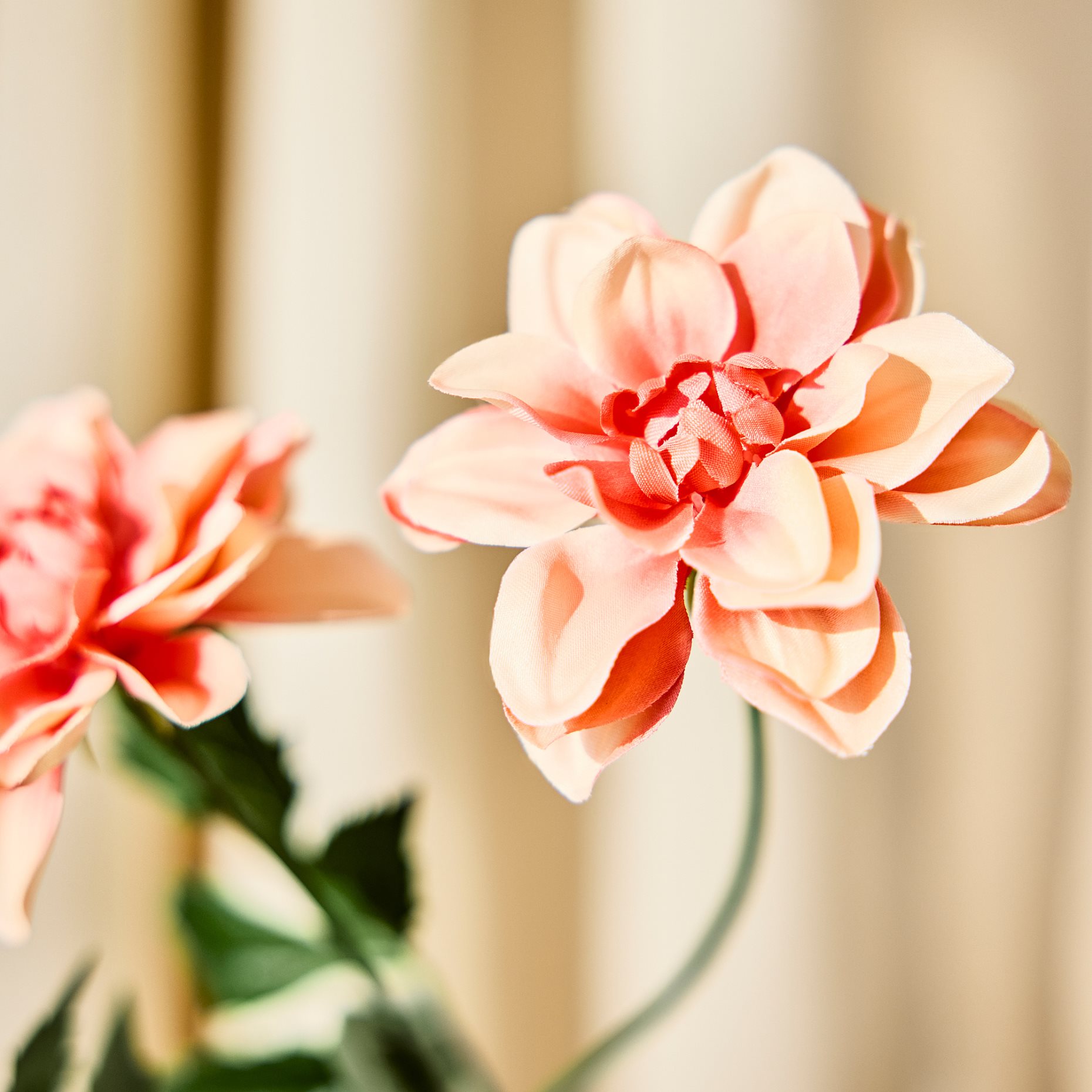 SMYCKA, изкуствено цвете, Далия, 606.060.58