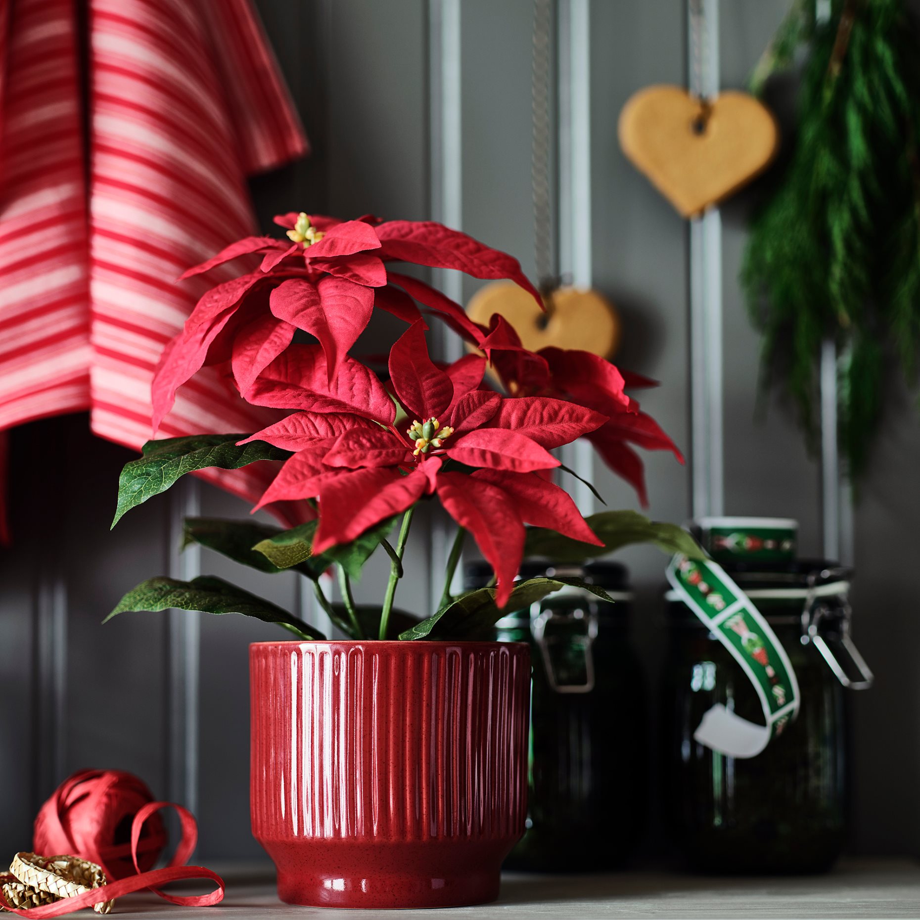 VINTERFINT, кашпа, 606.078.59