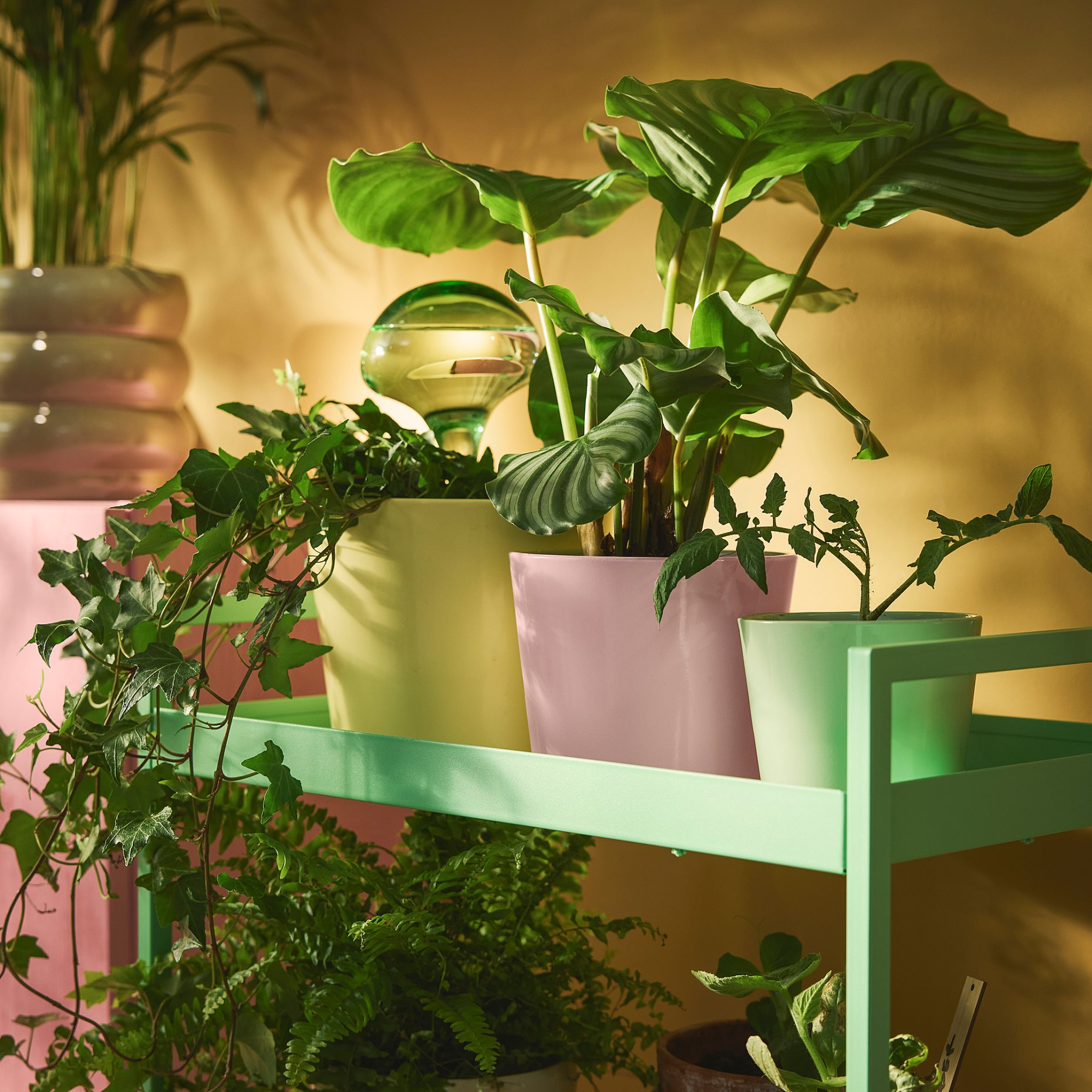 SOJABÖNA, кашпа, 12 см, 606.119.41