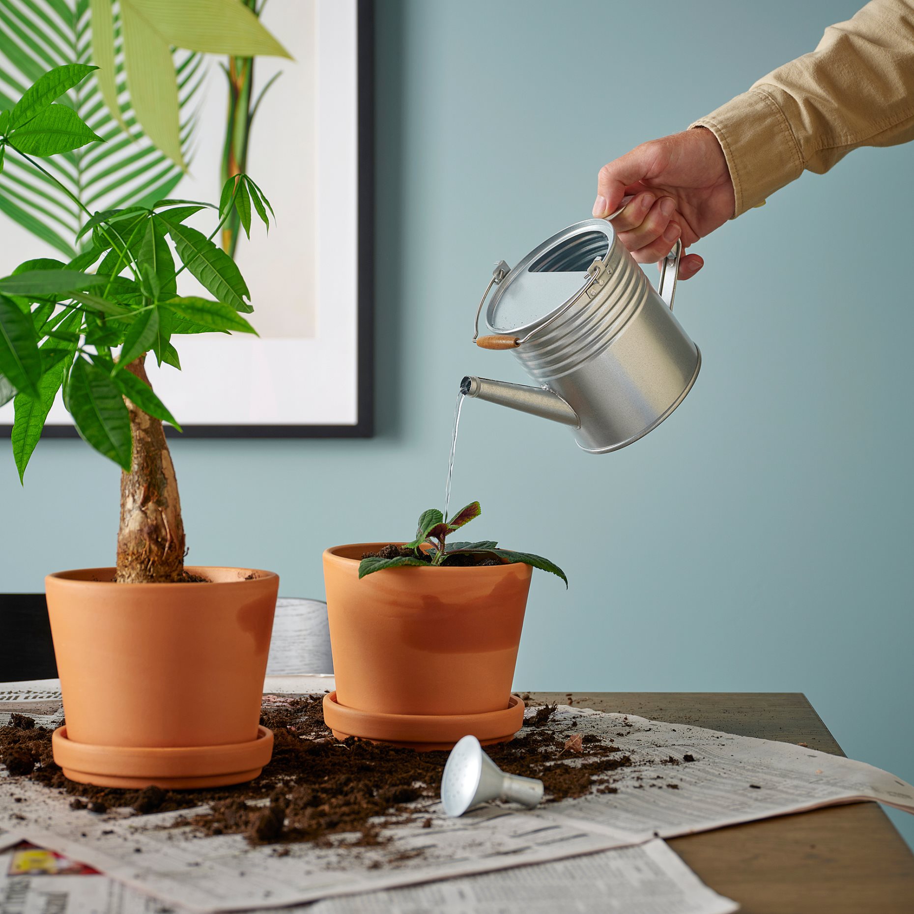 KORKGRAN, лейка, 1 л, 606.119.84