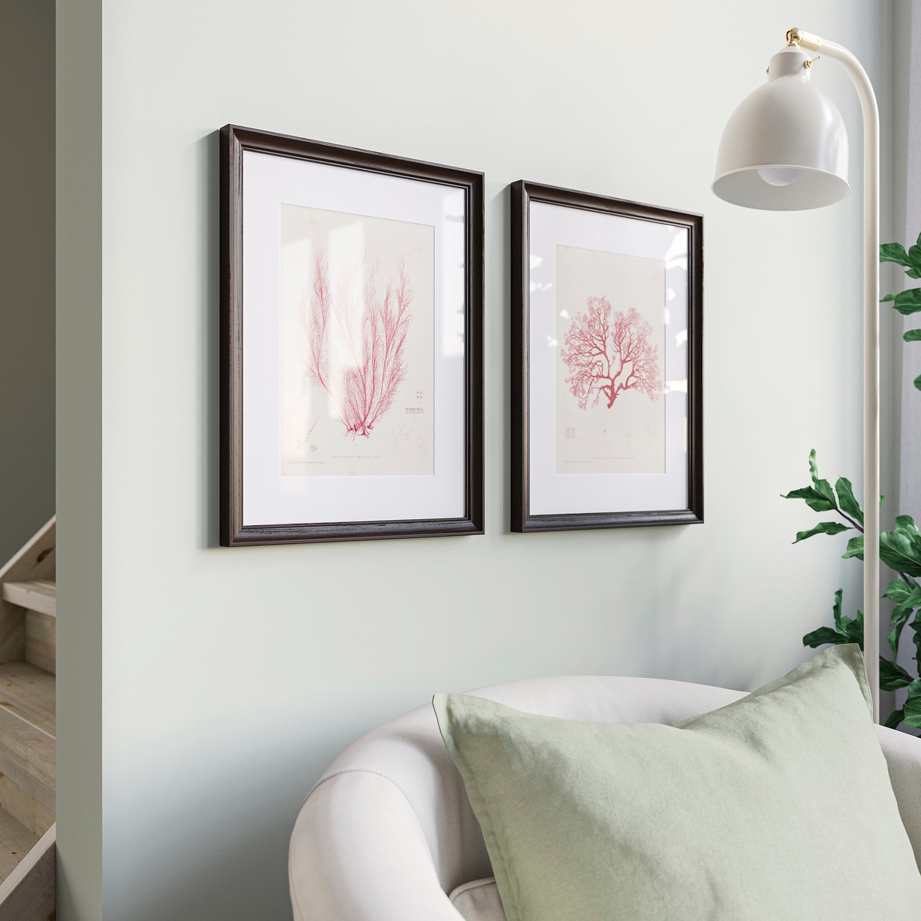 KLOTKÖRSBÄR, рамка, 706.100.74