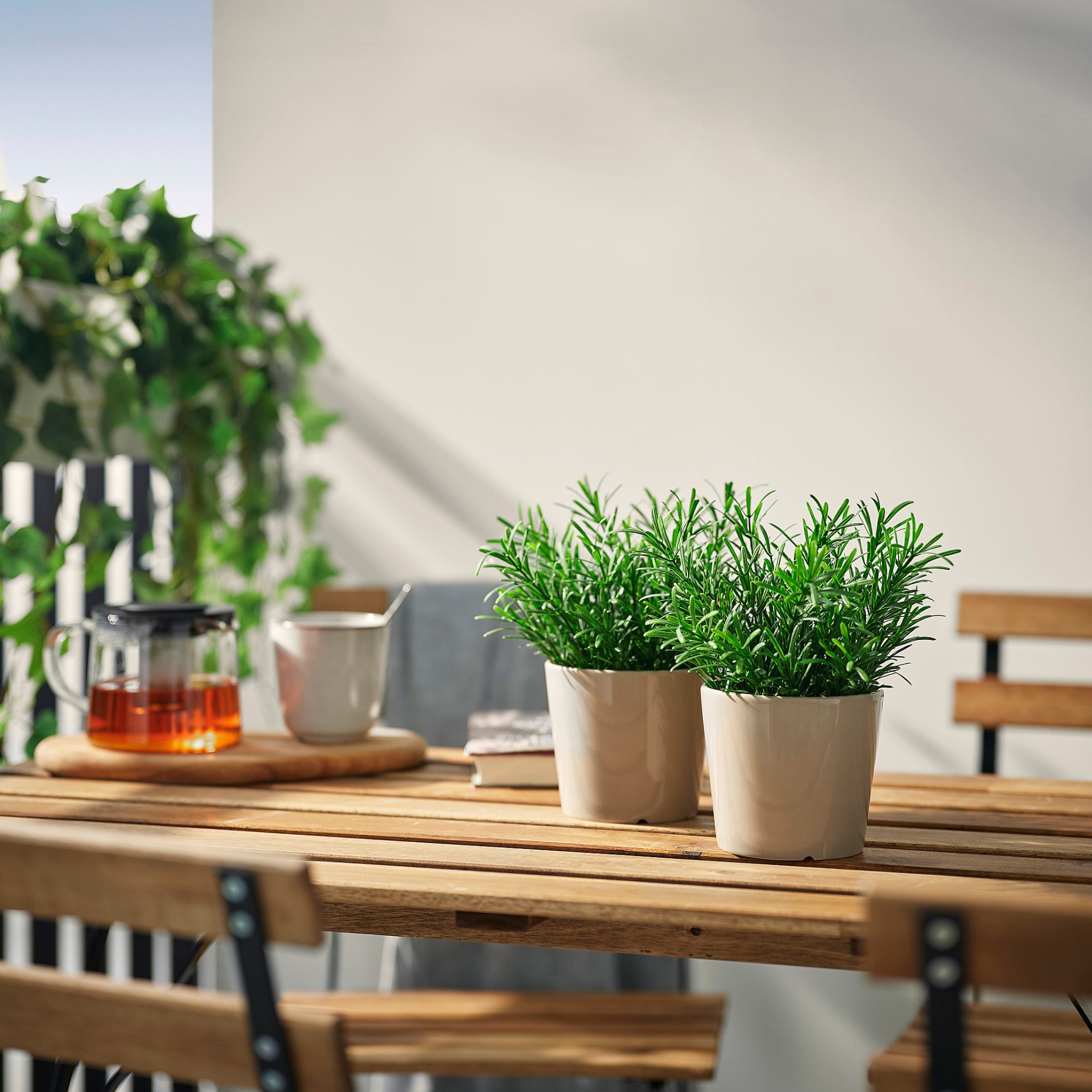 FEJKA, изкуствено саксийно растение, Розмарин, 9 см, 806.107.47