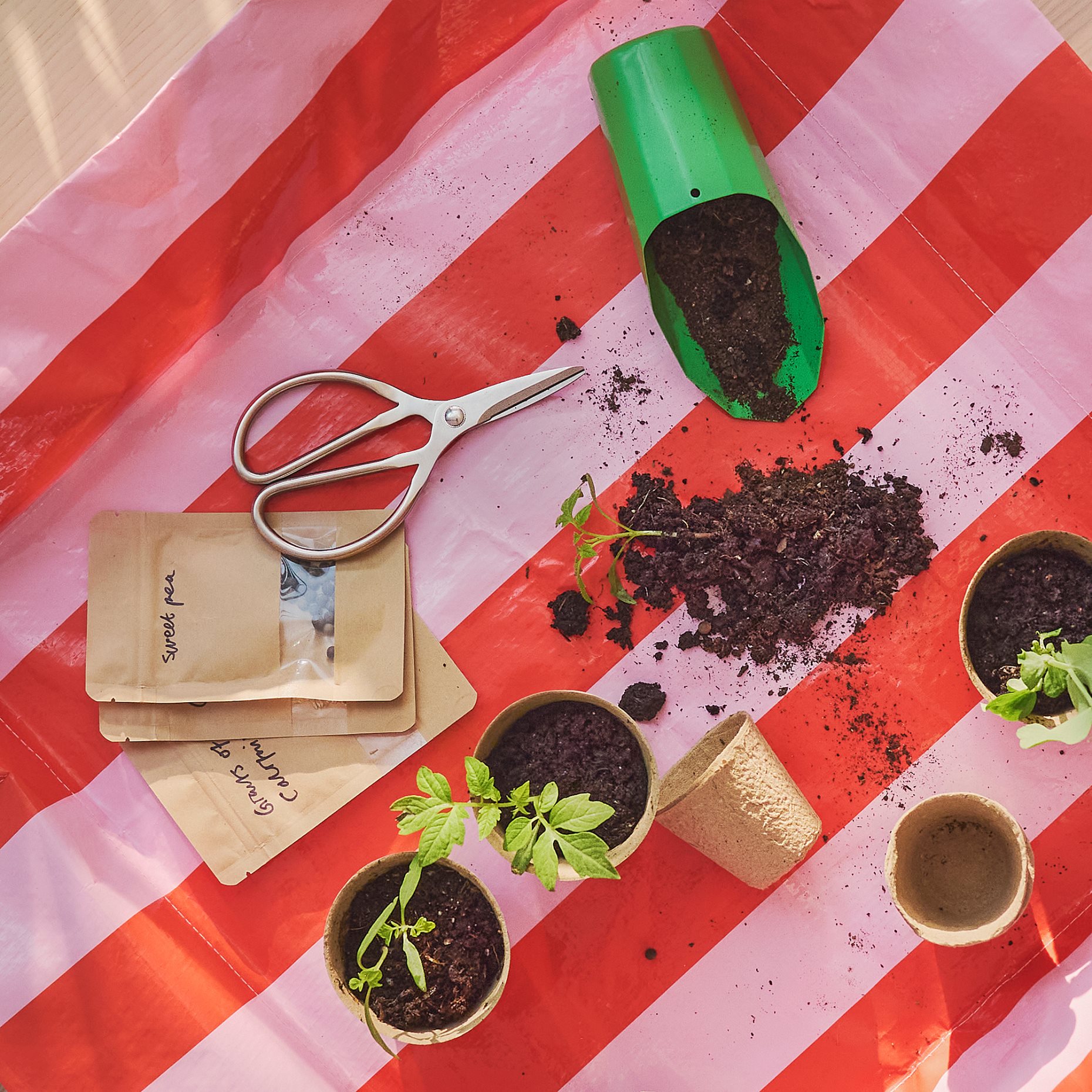 BRYTBÖNA, ножица, 16 см, 806.119.35