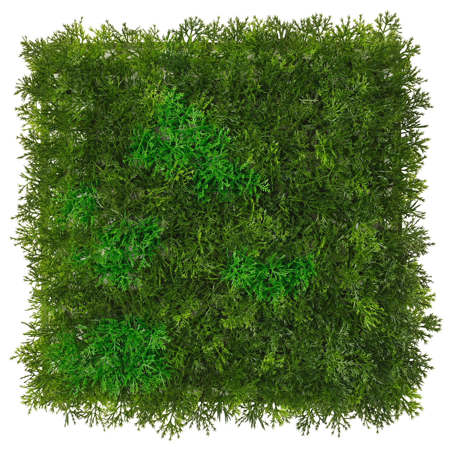 FEJKA, изкуствено растение за стена, 25x25 см, 906.107.61