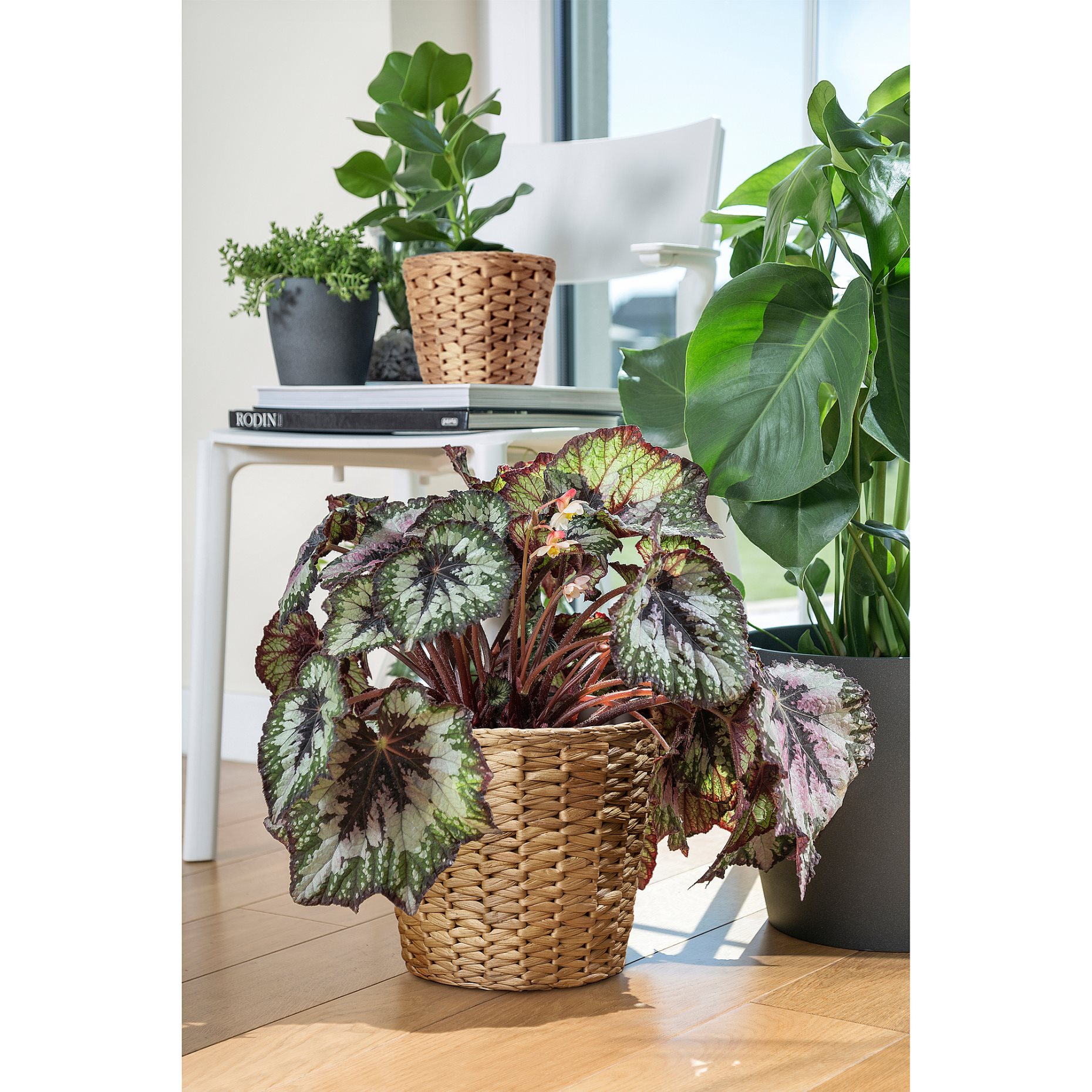 FRIDFULL, кашпа, 19 см, 906.282.85